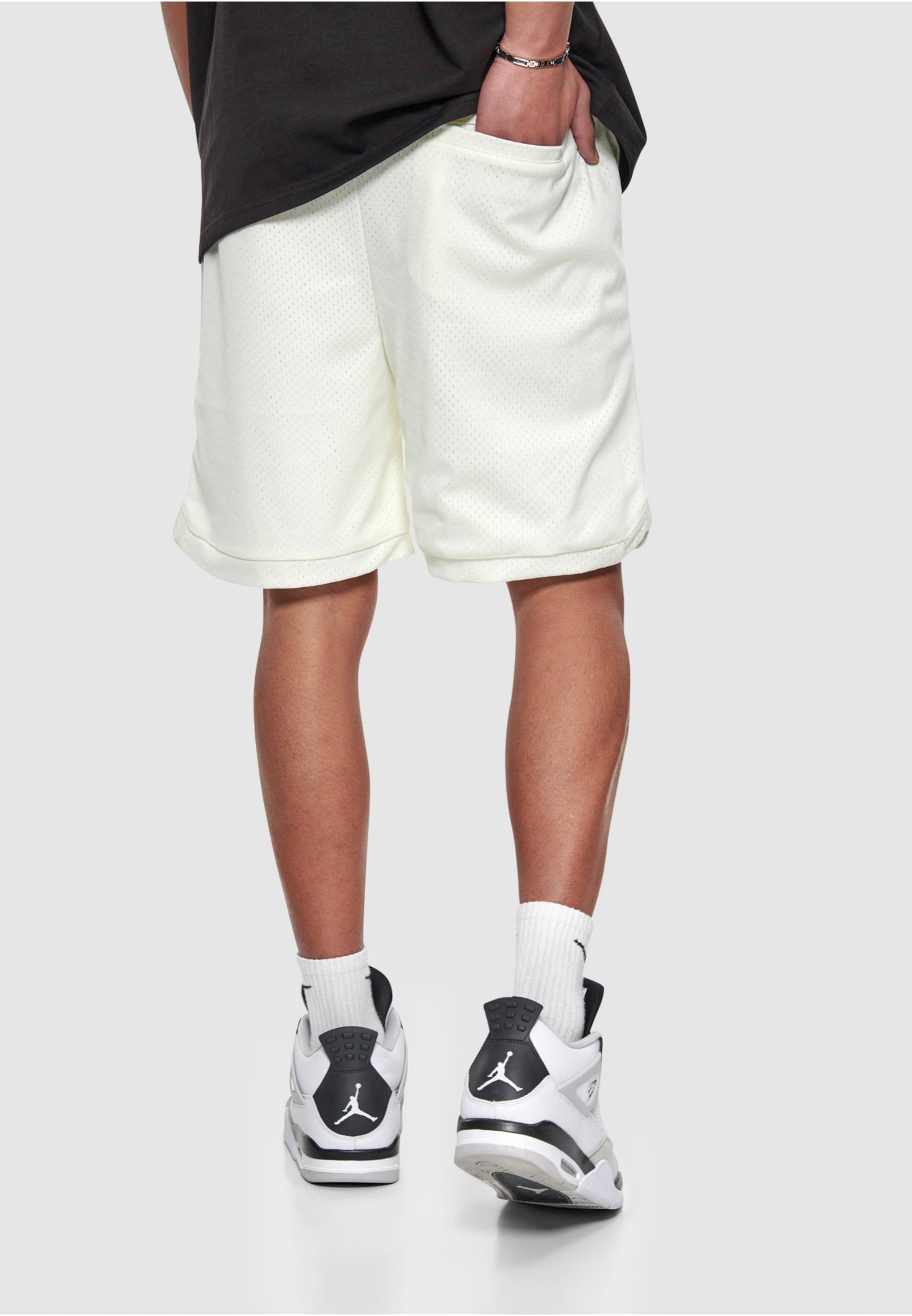 Dropsize Shorts »Dropsize Herren Dropsize V2 Mesh Shorts«, (1 tlg.)