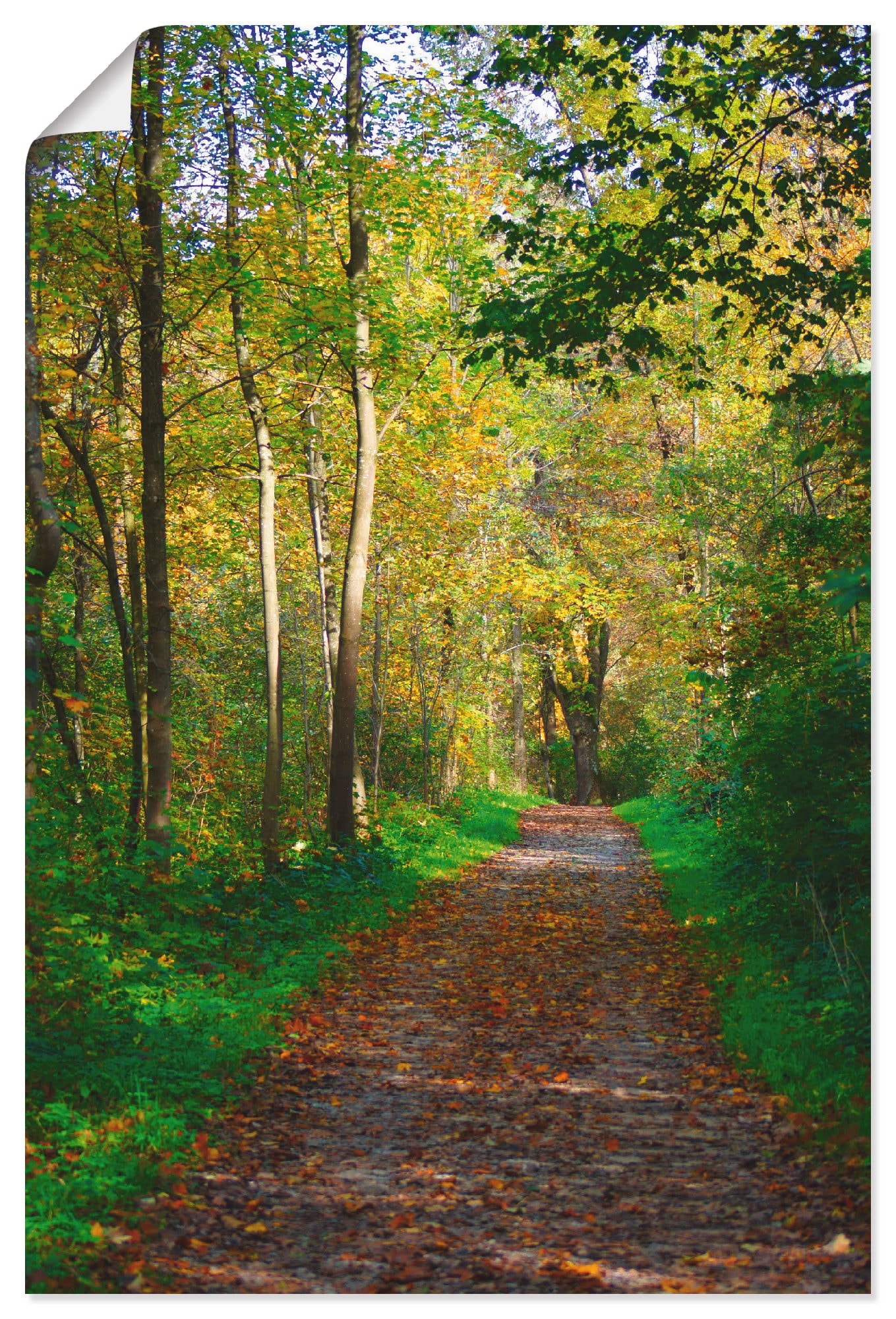 im | Größen Alubild, St.), Herbst (1 Poster in Wandaufkleber »Weg versch. Artland Wald, oder Wald«, kaufen Wandbild als Leinwandbild, BAUR
