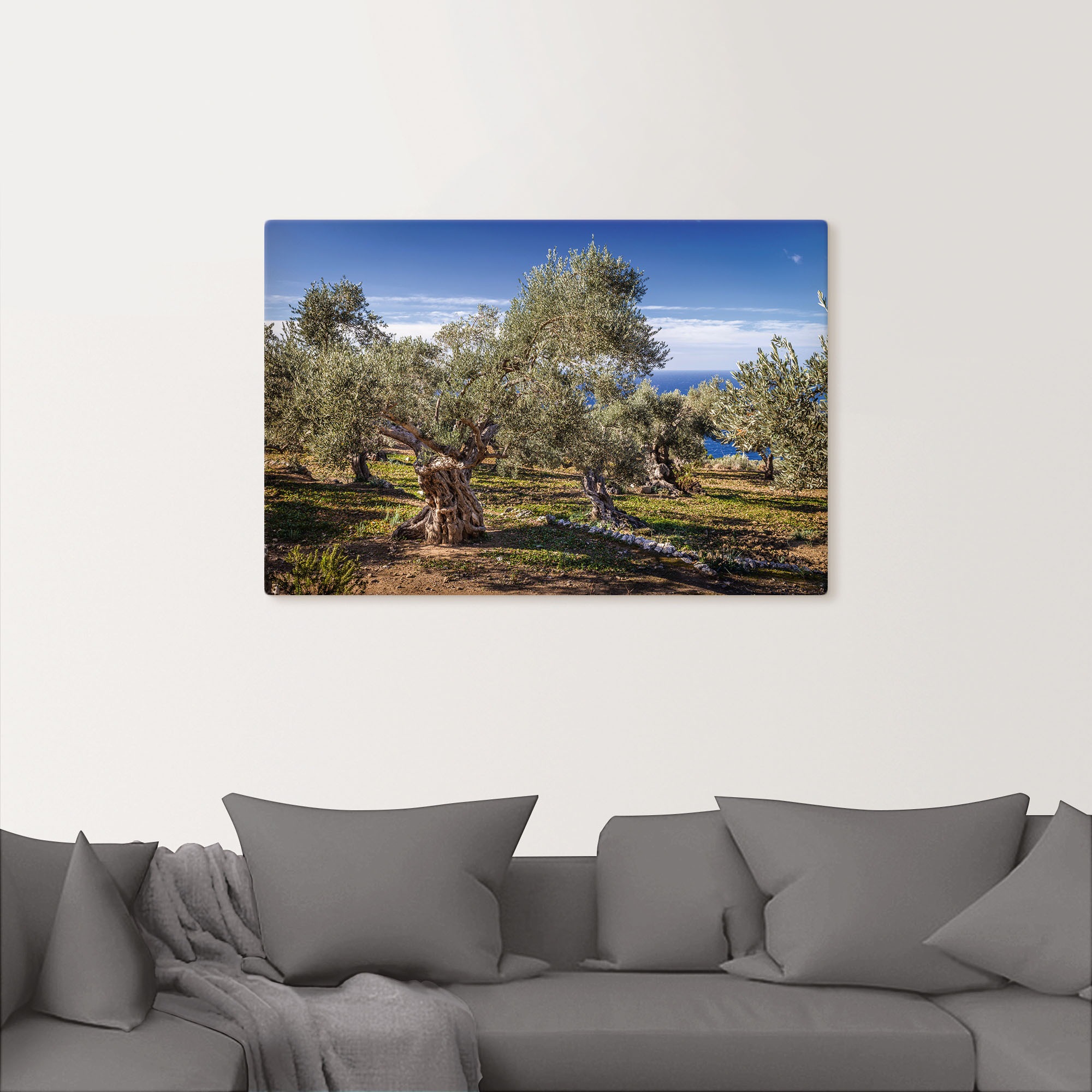 Artland Wandbild »Olivenhain in der Serra de Tramuntana«, Küstenbilder, (1 St.), als Alubild, Outdoorbild, Leinwandbild, Poster in verschied. Größen