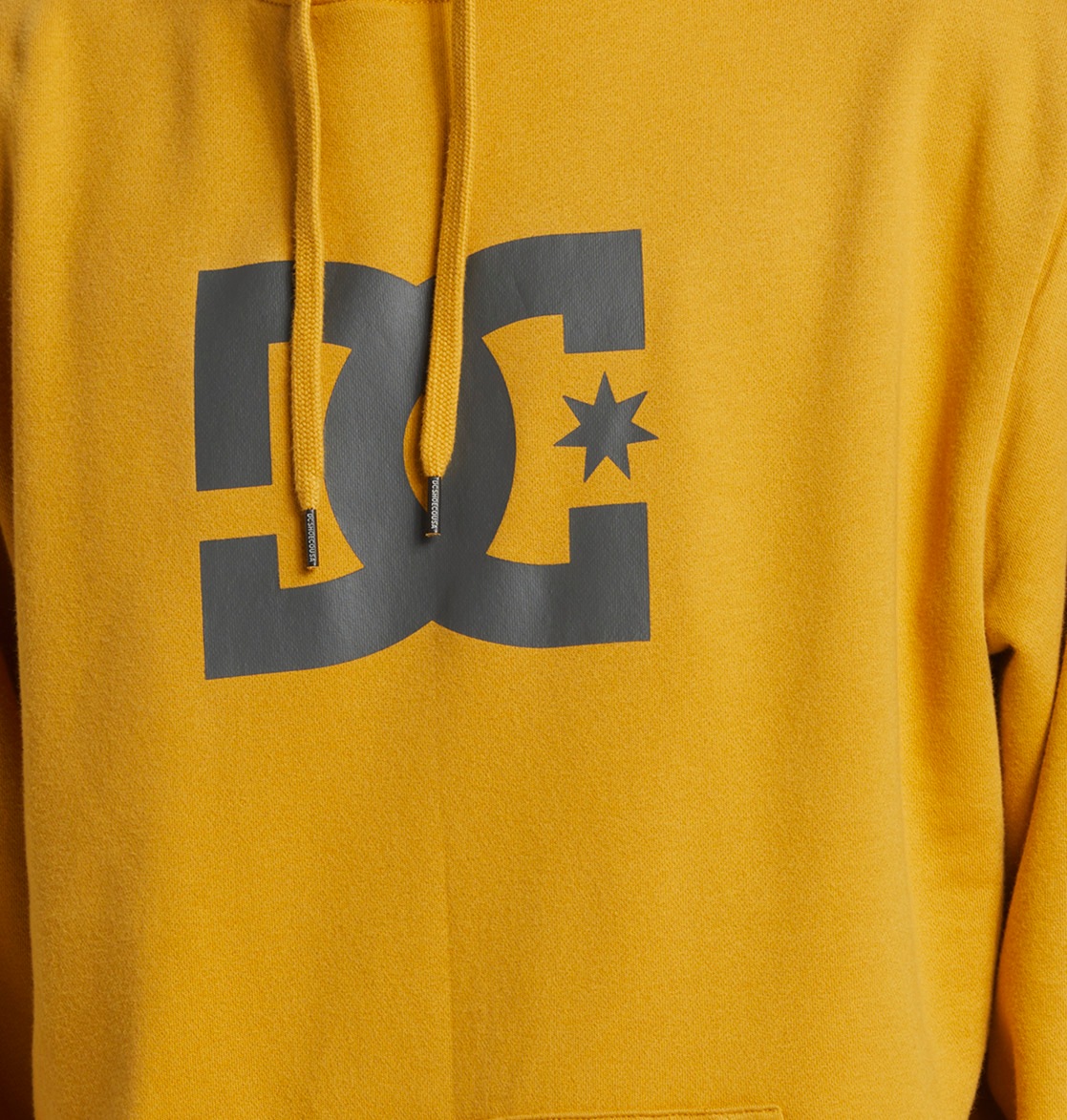 DC Shoes Kapuzensweatshirt »DC Star«