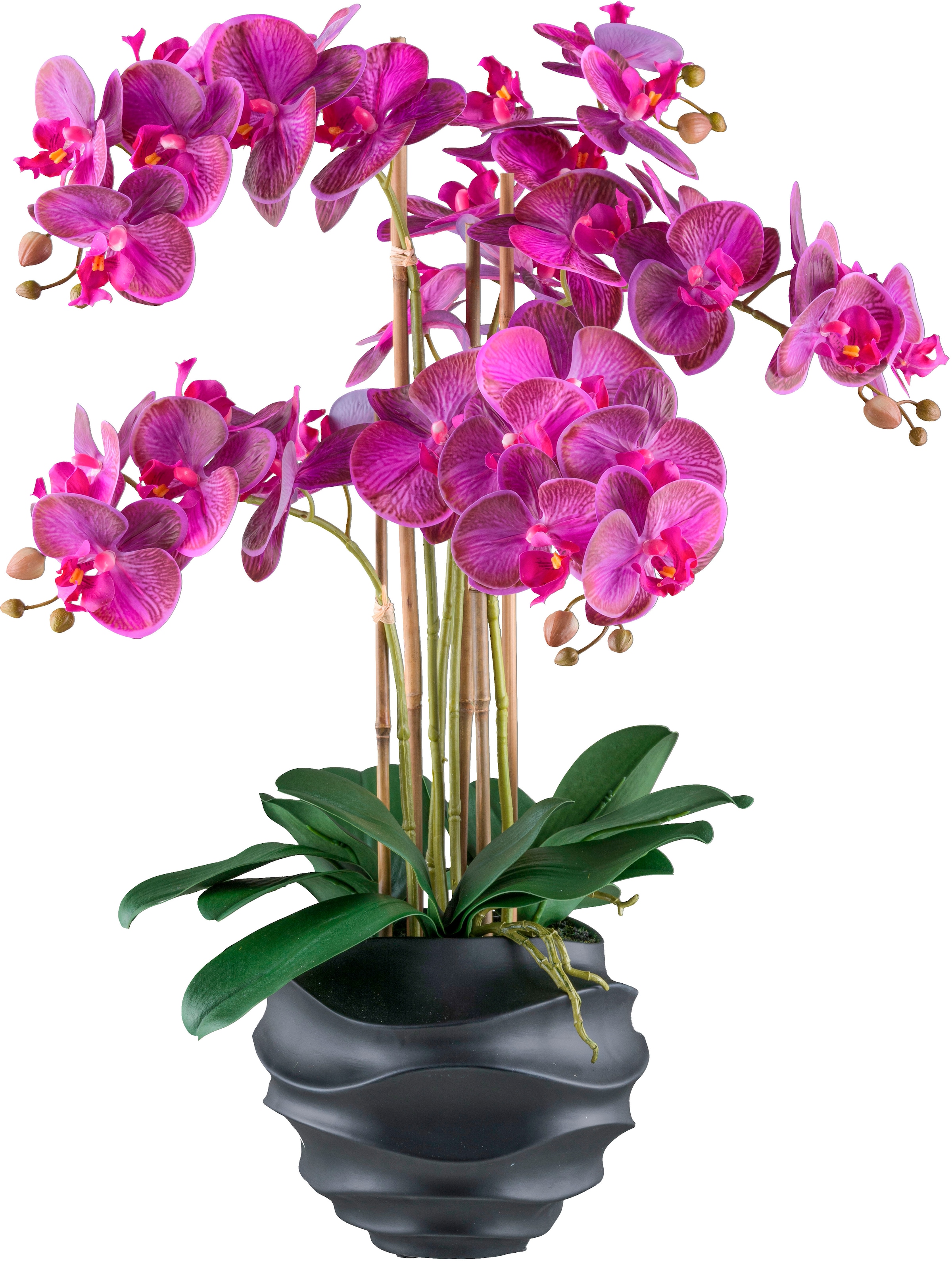 Creativ green Kunstorchidee "Orchidee Phalaenopsis", im Design-Topf