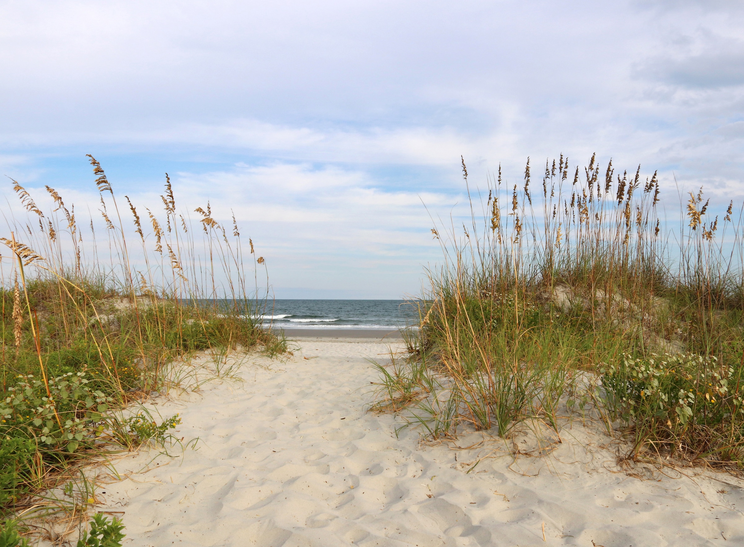 Papermoon Fototapete "Dunes Huntington Beach" glatt