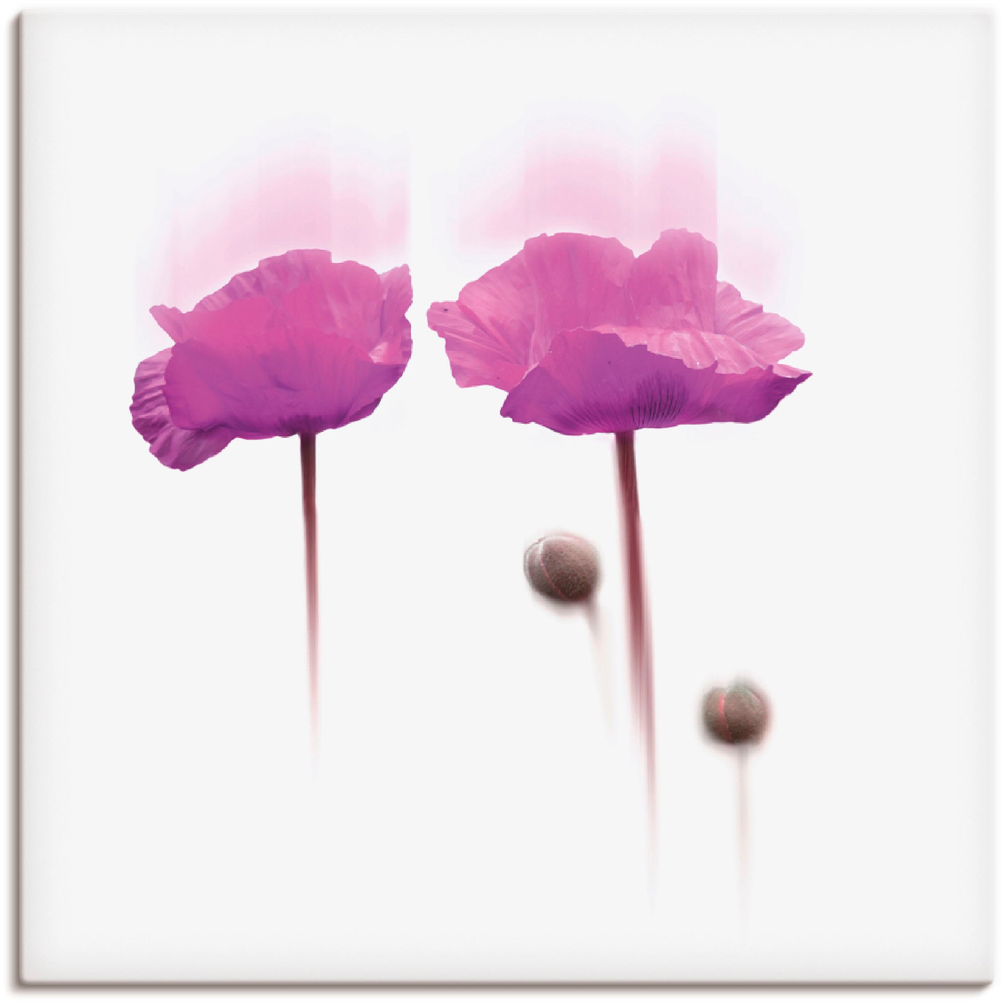 Artland Wandfolie "Blüte abstrakt II", Blumen, (1 St.), selbstklebend günstig online kaufen