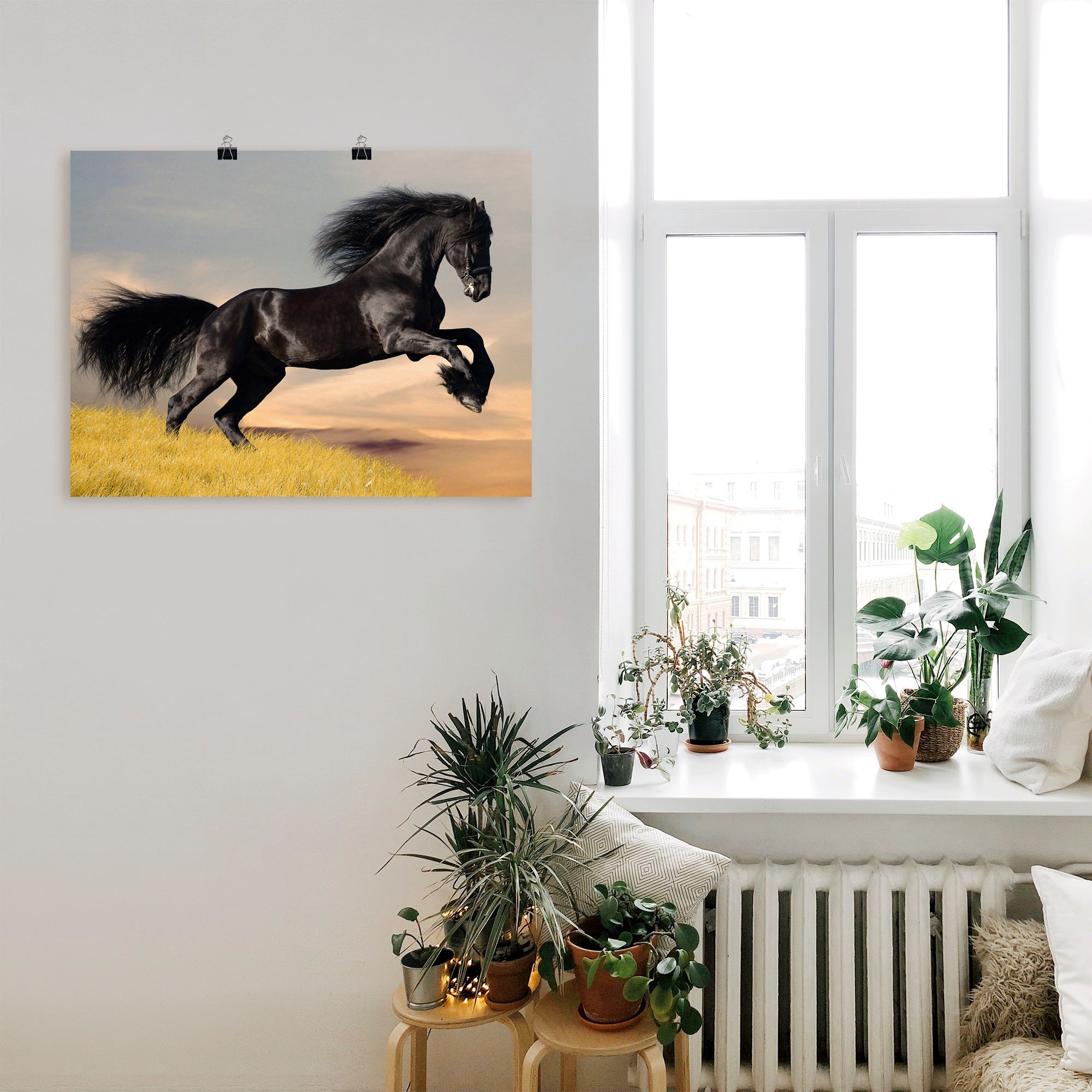 Artland Wandbild »Friesischer Hengstgalopp«, Haustiere, (1 St.), als Poster in verschied. Größen