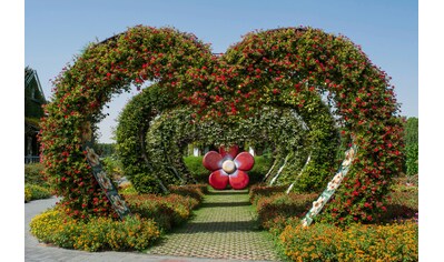 Fototapete »BLUMEN GARTEN-NATUR ROSEN BLUME PFLANZEN BÄUME DEKO XXL«