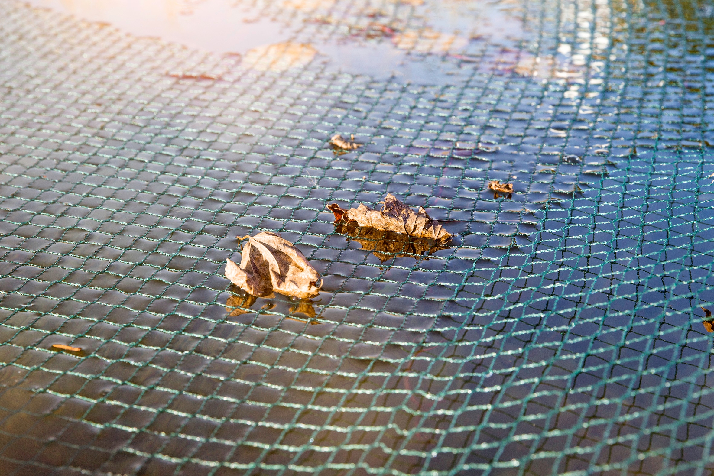 Windhager Schutznetz »für Teiche und Wasserbehälter, Laubschutz-Netz Maschenweite 17 mm« Abdecknetz erhältlich in unterschiedlichen Größen, grün