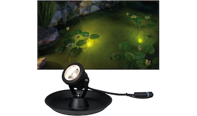 Paulmann LED Teichleuchte »Outdoor Plug&Shine Underwater Spot«, LED-Modul, 1 St.,... kaufen