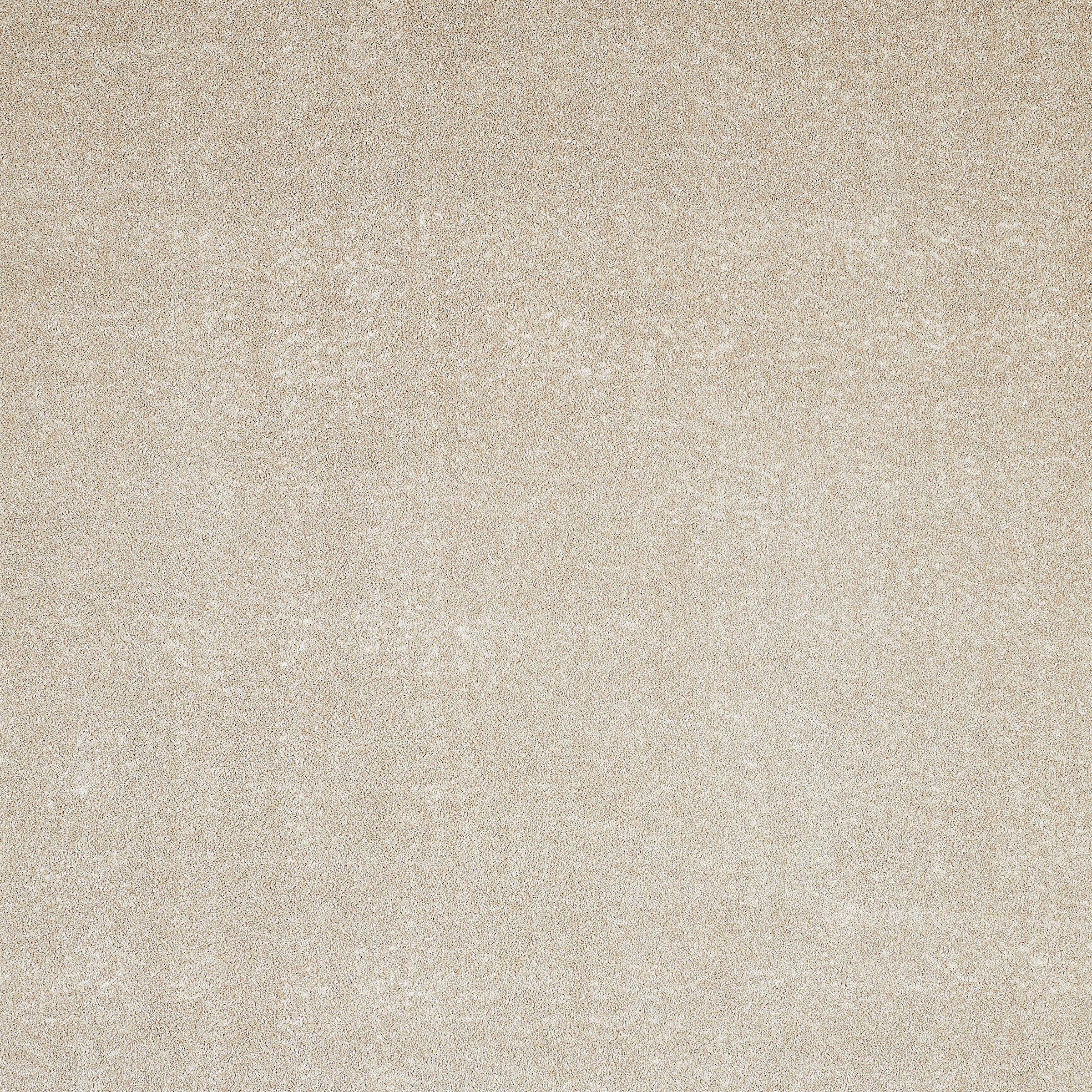 Andiamo Teppichboden »Portland, Velours, Made in Netherlands«, rechteckig, 11 mm Höhe, Uni Farben, Breite 400 cm, Wohnzimmer, strapazierfähig, pflegeleicht