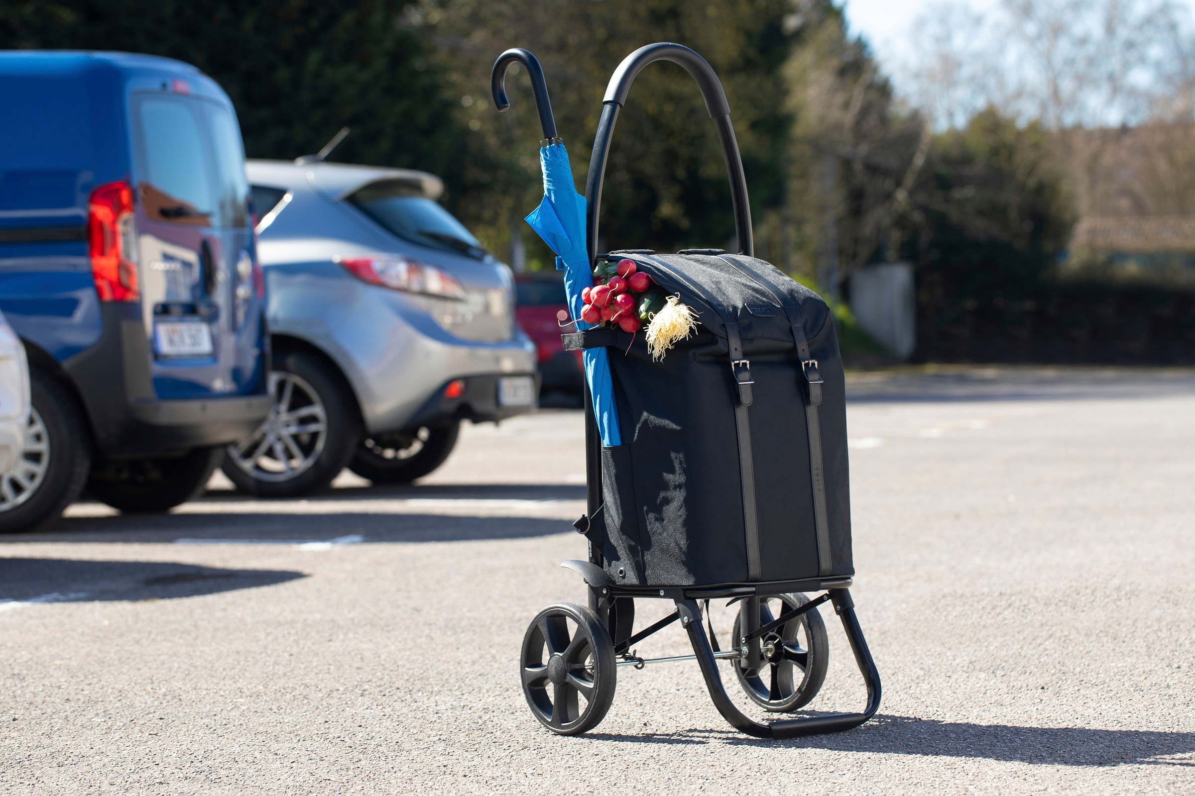 meister Einkaufstrolley »Black Edition - Separater«, 45 Liter, Einkaufstrolley und Rucksack in einem