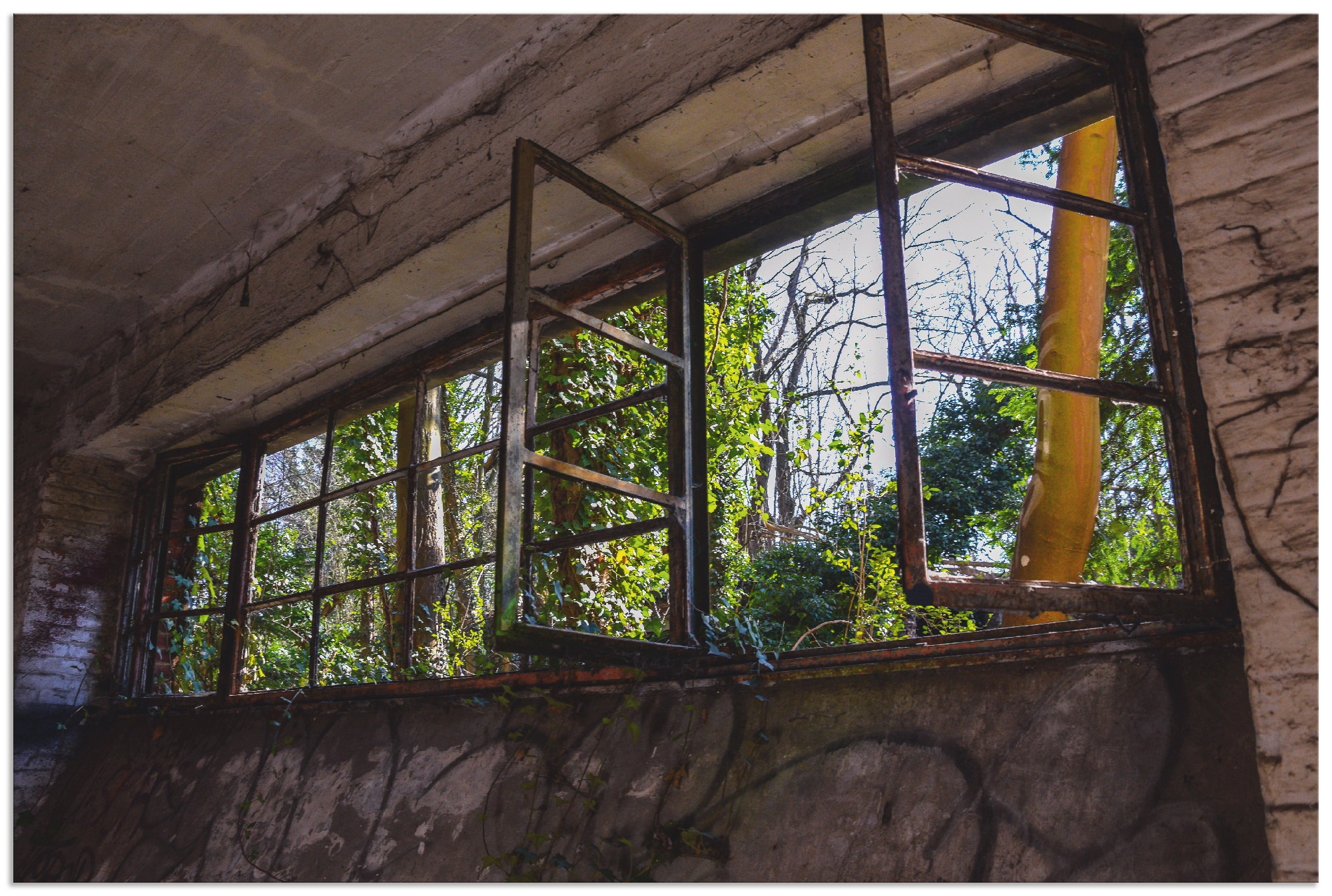 Artland Alu-Dibond-Druck »Blick ins Grüne«, Fenster & Türen, (1 St.), für Innen- und Außenbereich geeignet, Outdoorbild