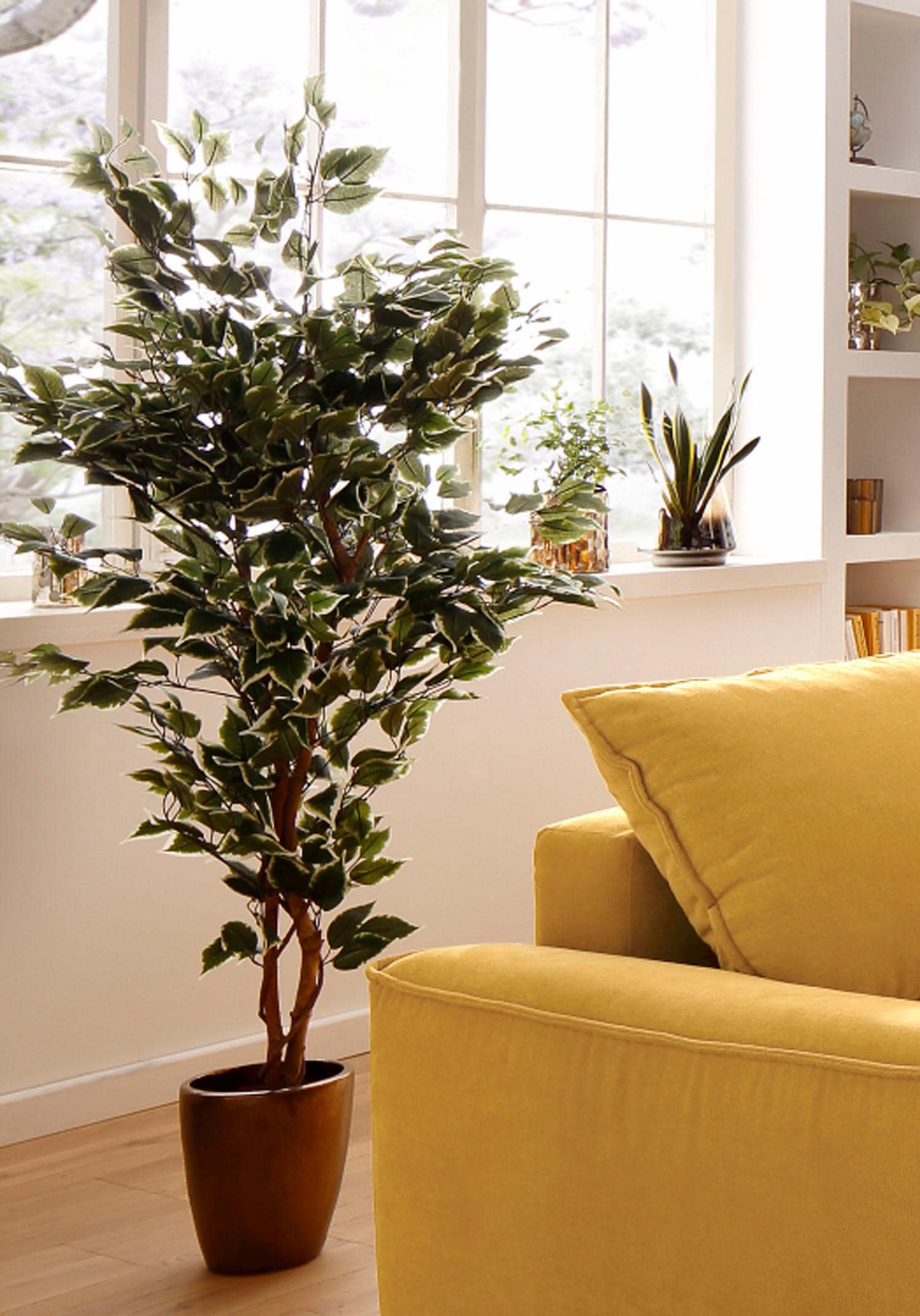 Creativ green Kunstpflanze »Ficus Benjamini« kaufen | BAUR