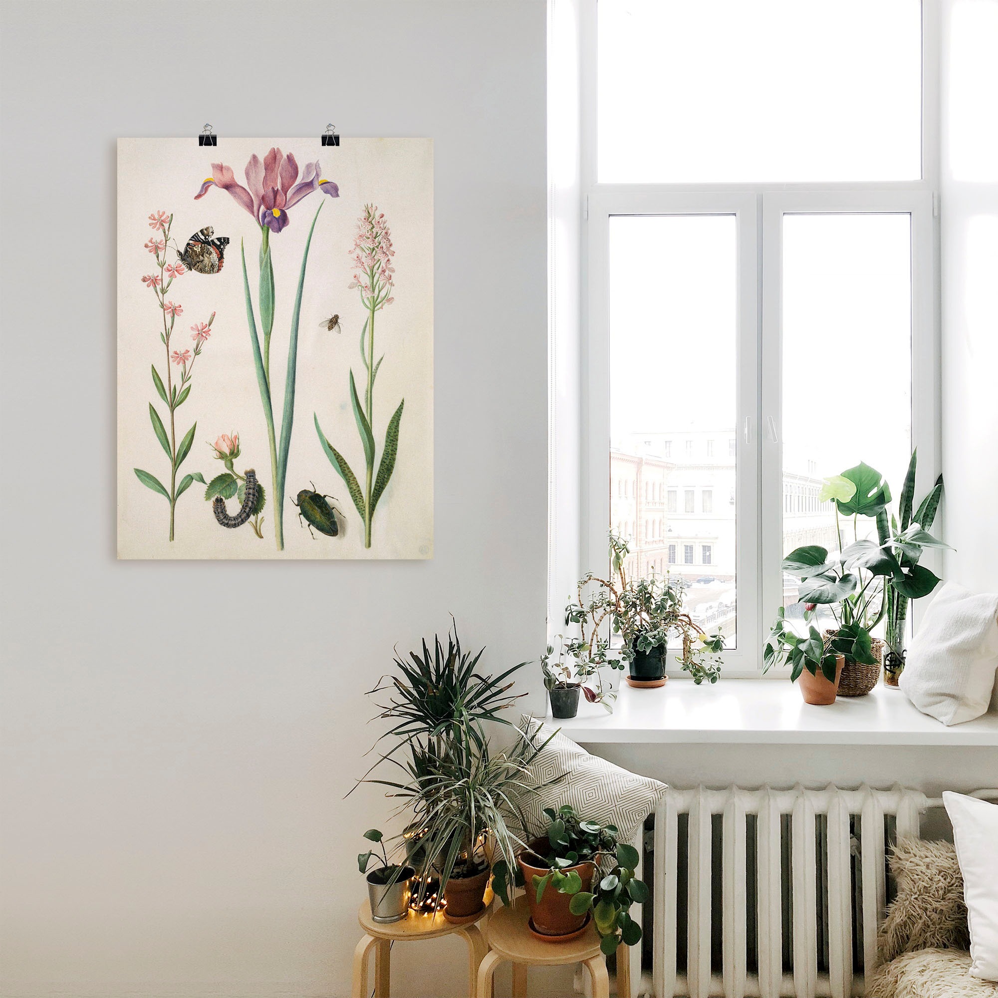 Artland Wandbild »Admiral, Rose Iris Knabenkraut.«, Pflanzen, (1 St.), als Poster, Wandaufkleber in verschied. Größen