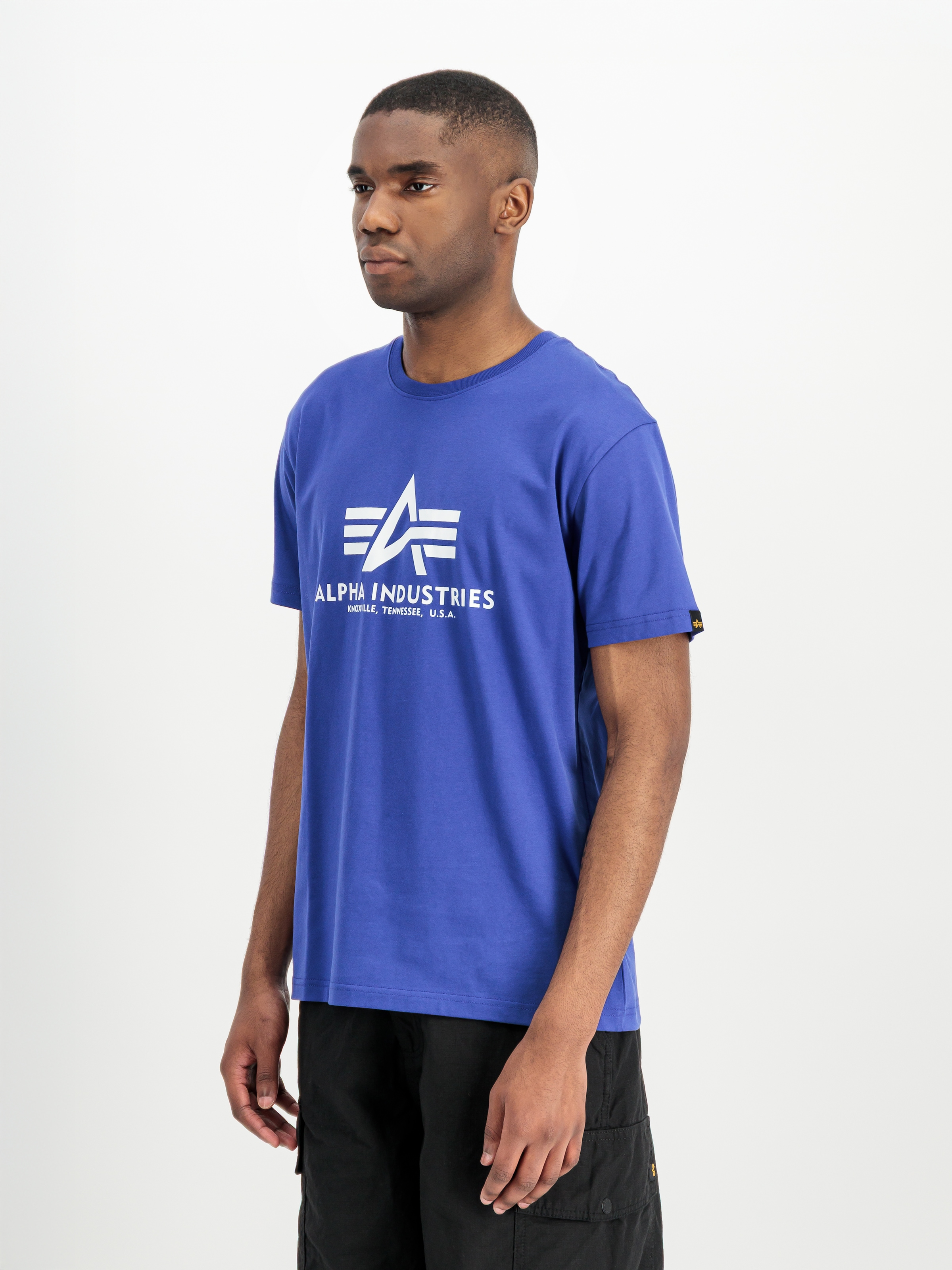 Alpha Industries T-Shirt "Basic T-Shirt" Baumwolle, regular fit