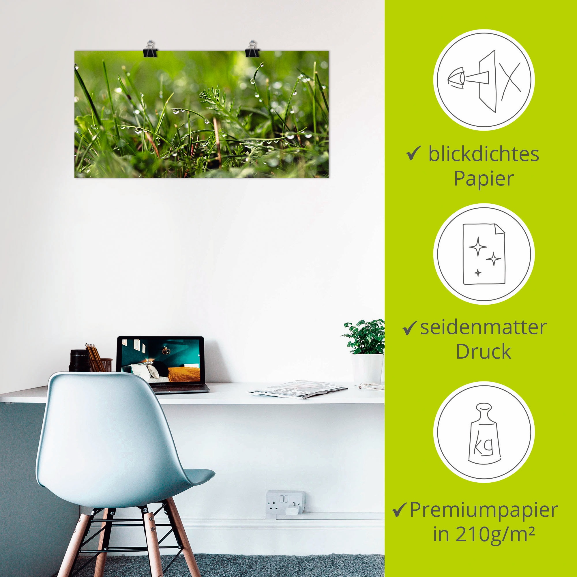 Artland Wandbild »Tautropfen«, Gräser, (1 St.), als Alubild, Outdoorbild, Leinwandbild, Poster in verschied. Größen