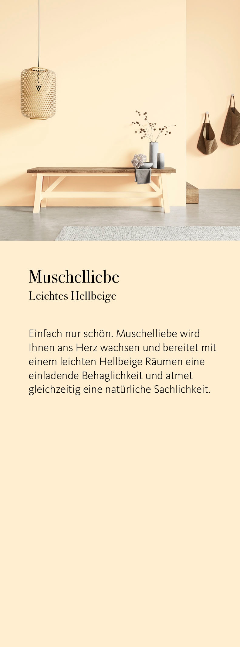 SCHÖNER WOHNEN FARBE Wand- und Deckenfarbe »Naturell Kreidefarbe«, 2,5 Liter, pudermatt, auch für Möbel geeignet, German Brand Award 2023