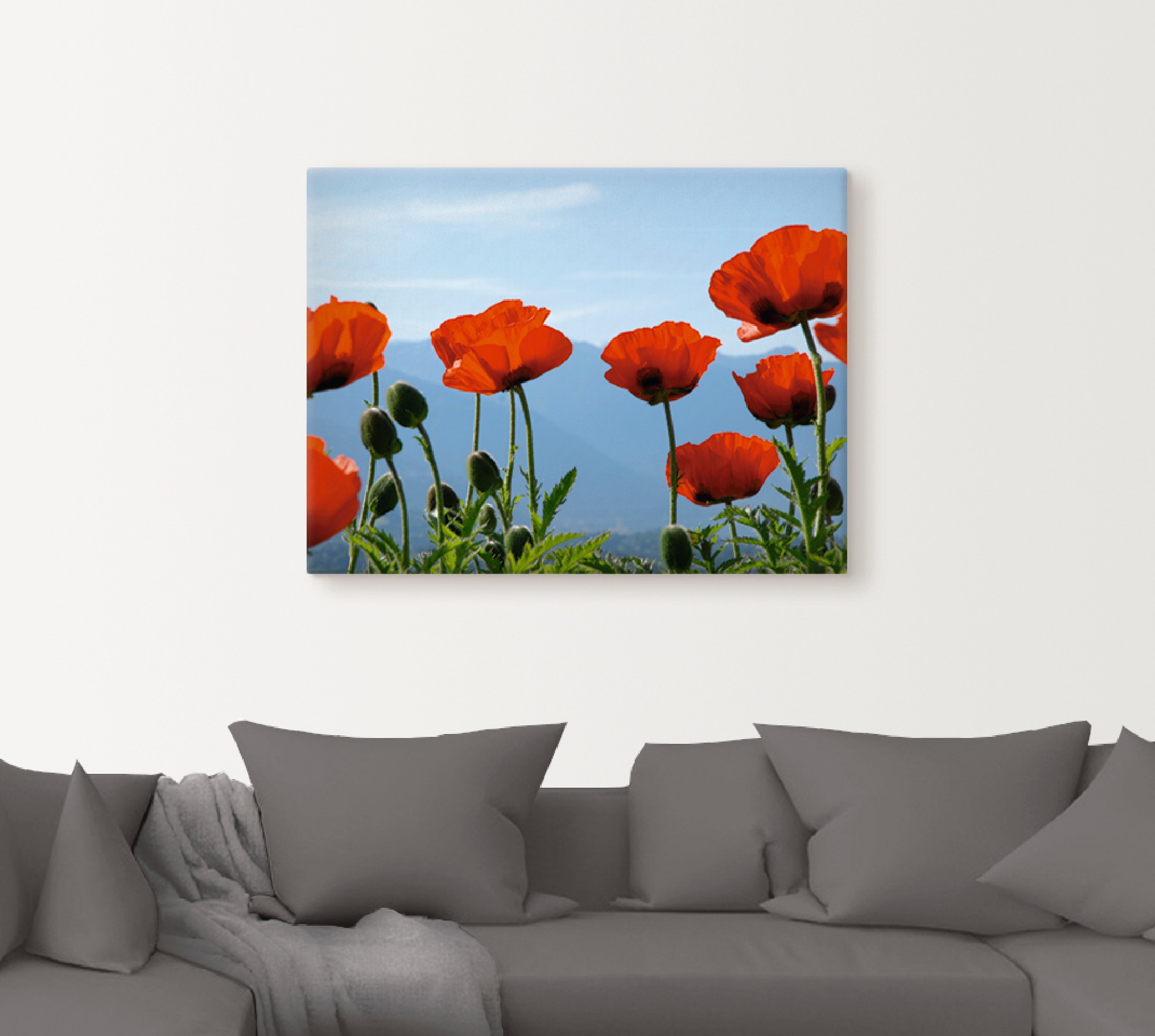 Artland Wandbild »Mohnblüten«, Blumen, (1 St.), als Leinwandbild, Poster in verschied. Größen