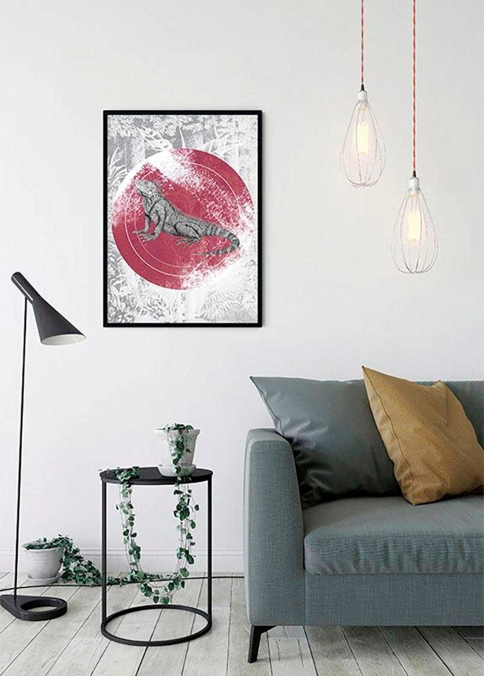 Thumbnail - Komar Bild "Iguana Circle" Tiere 1 Stk. tlg. Wandbild zur Dekoration - ohne Rahmen