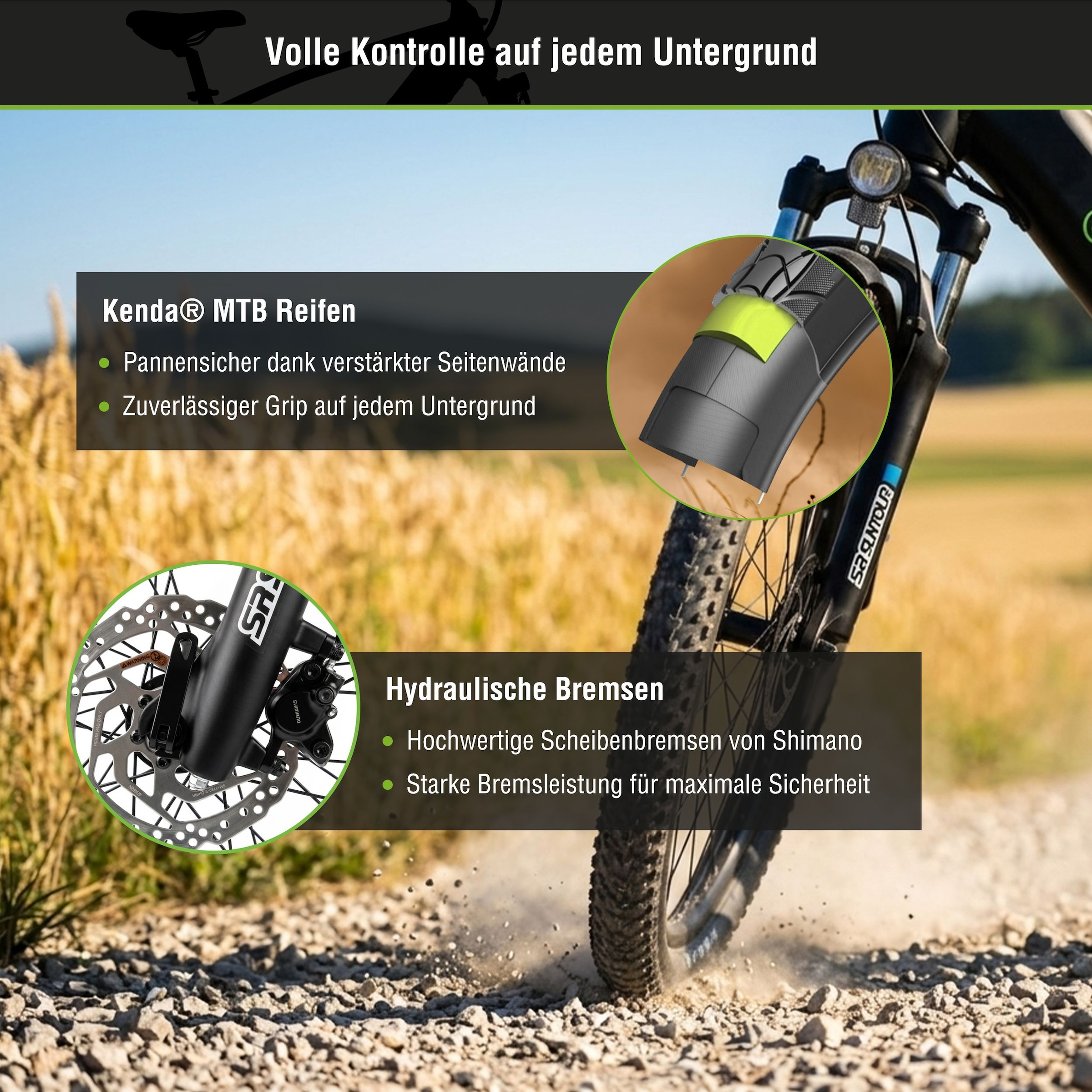 SachsenRad »R8T Flex III mit Gepäckträger« 9 Gang Shimano Kettenschaltung Heckmotor 250 W