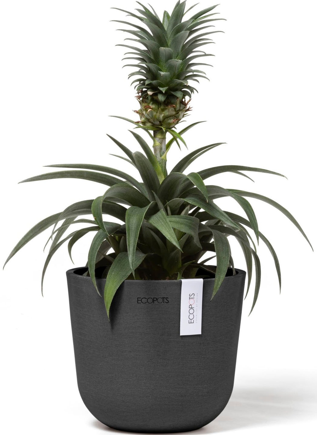 ECOPOTS Blumentopf »Oslo Mini 16 Dunkelgrau« für den Innenbereich