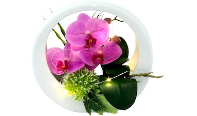 I.GE.A. Kunstorchidee »Orchidee«, (1 St.), im Keramiktopf, mit LED-Beleuchtung kaufen