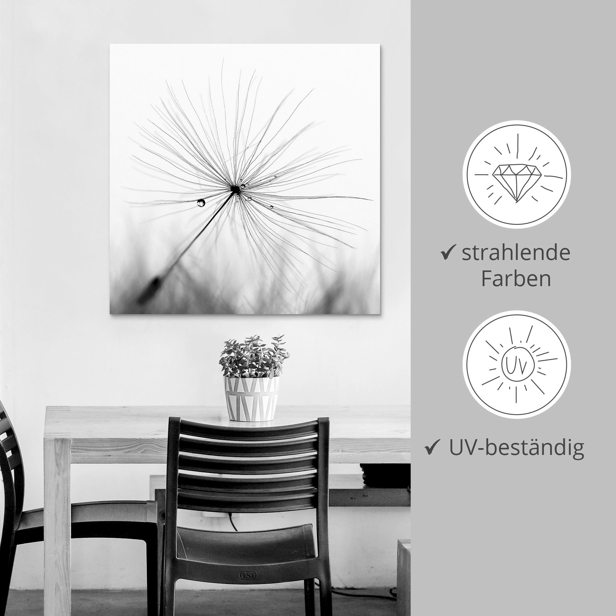 Artland Wandbild »Pusteblume Schirmchen« Blumen 1 Stk. tlg. als Alubild, Leinwandbild in verschied. Größen