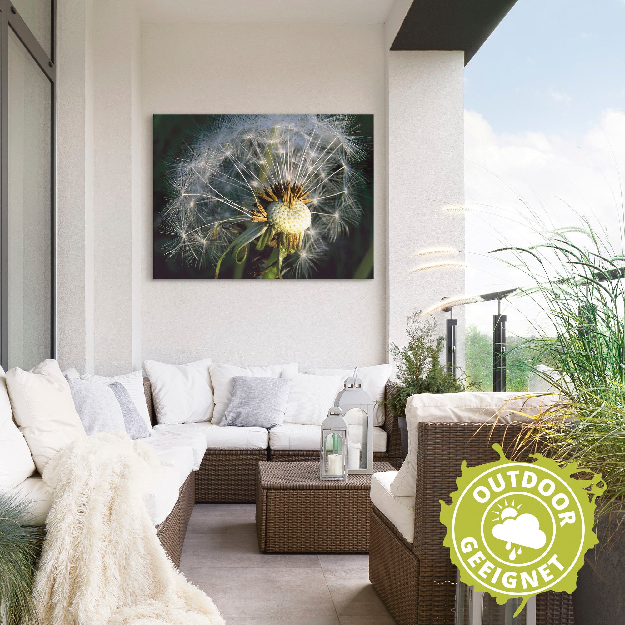 Artland Poster »Pusteblume«, Blumen, (1 St.), als Alubild, Leinwandbild, Wandaufkleber oder Poster in versch. Größen