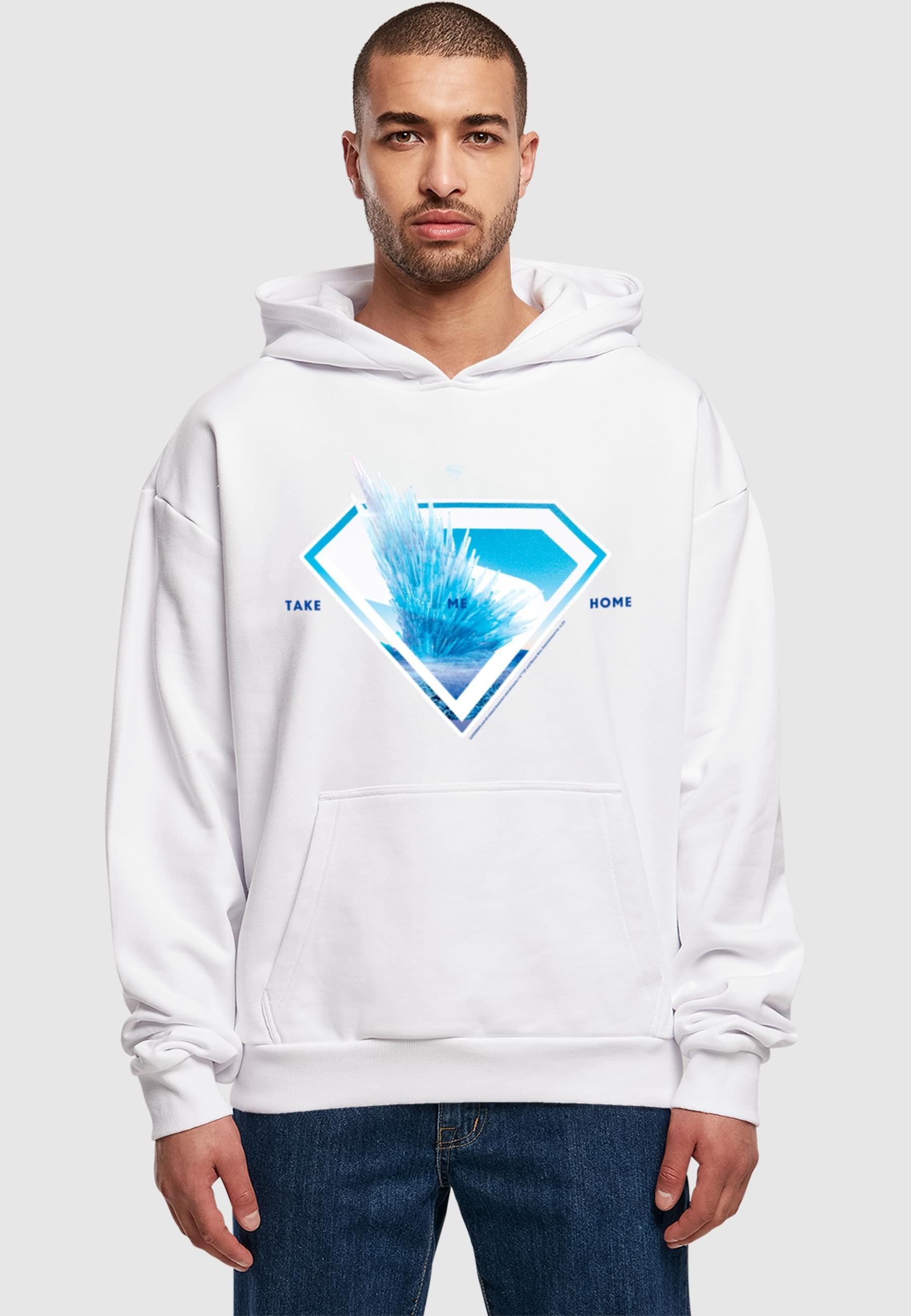 ABSOLUTE CULT Kapuzensweatshirt »ABSOLUTE CULT«, (1 tlg.)