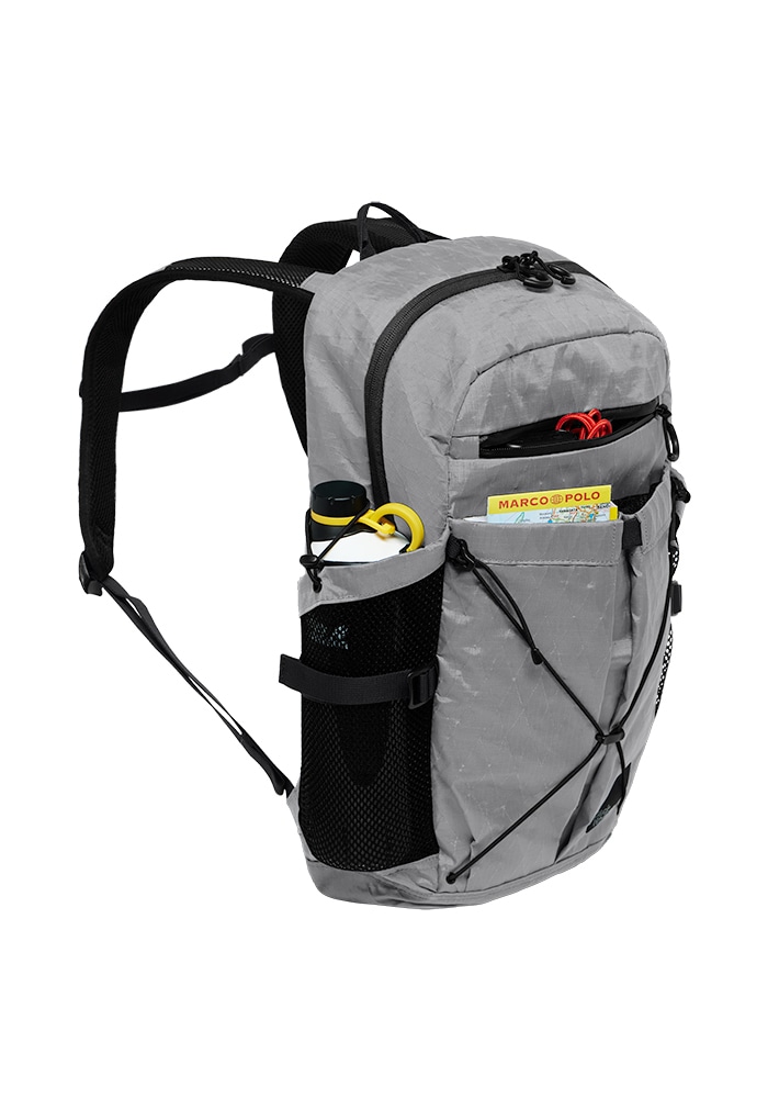 Jack Wolfskin Daypack »WANDERMOOD PACK 20«