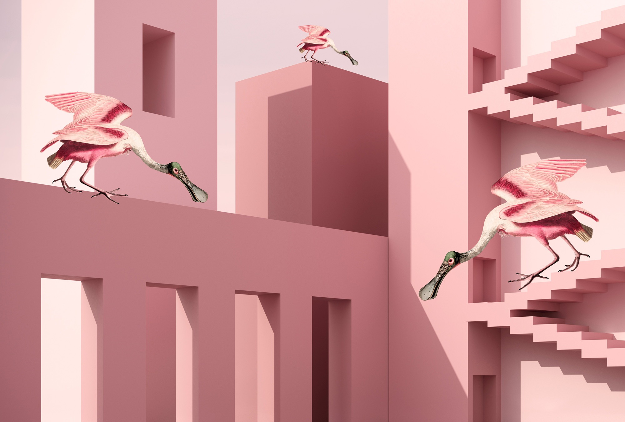 living walls Vliestapete »Fototapete Flamingos Architektur Rosa modern« matt glatt