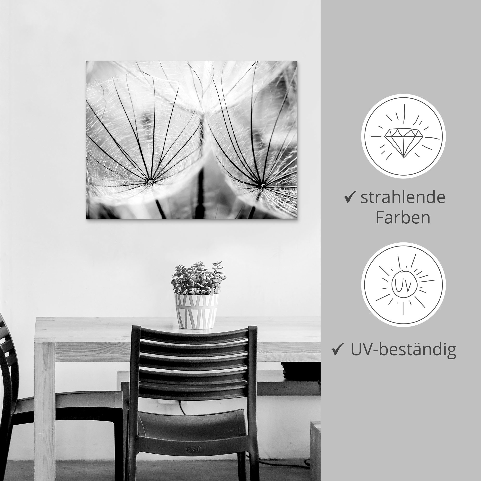Artland Wandbild »Pusteblume in schwarzweiß«, Blumen, (1 St.), als Alubild, Outdoorbild, Leinwandbild, Poster, Wandaufkleber