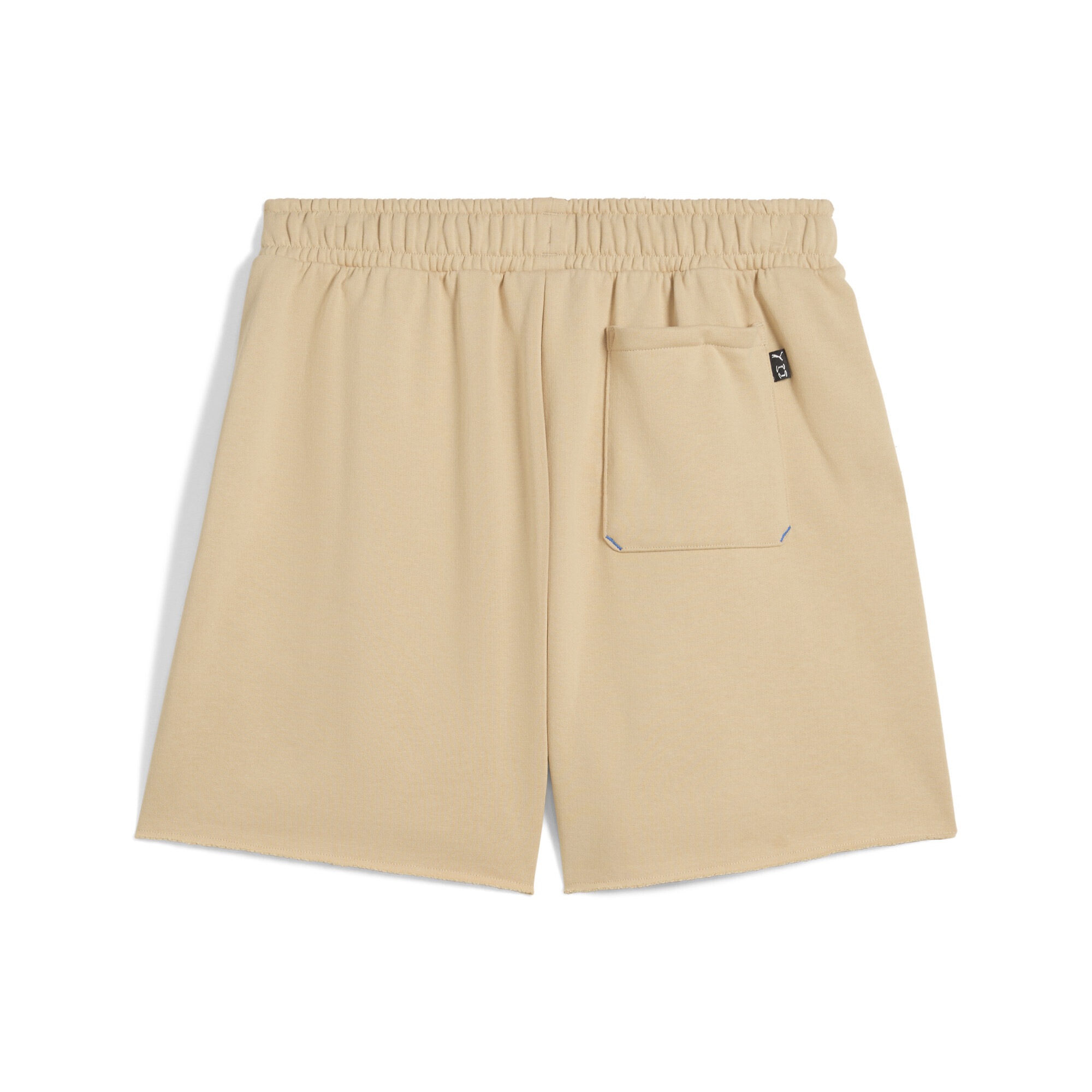 PUMA Shorts »Ancient Roars Terry Basketballshorts Erwachsene«