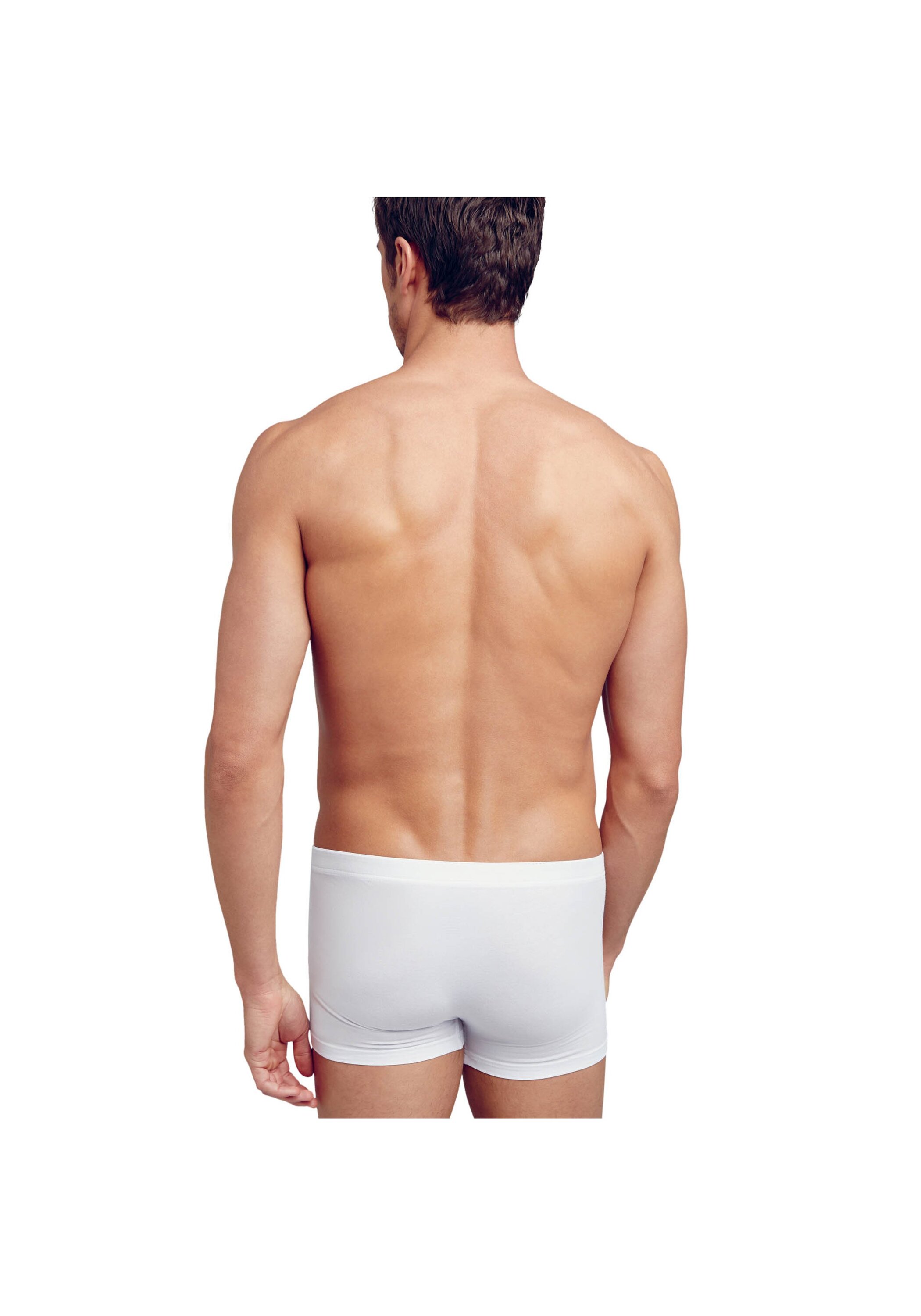 Thumbnail - Jockey Boxershorts "Boxershort Modern Stretch Trunk 2P 2er Pack"