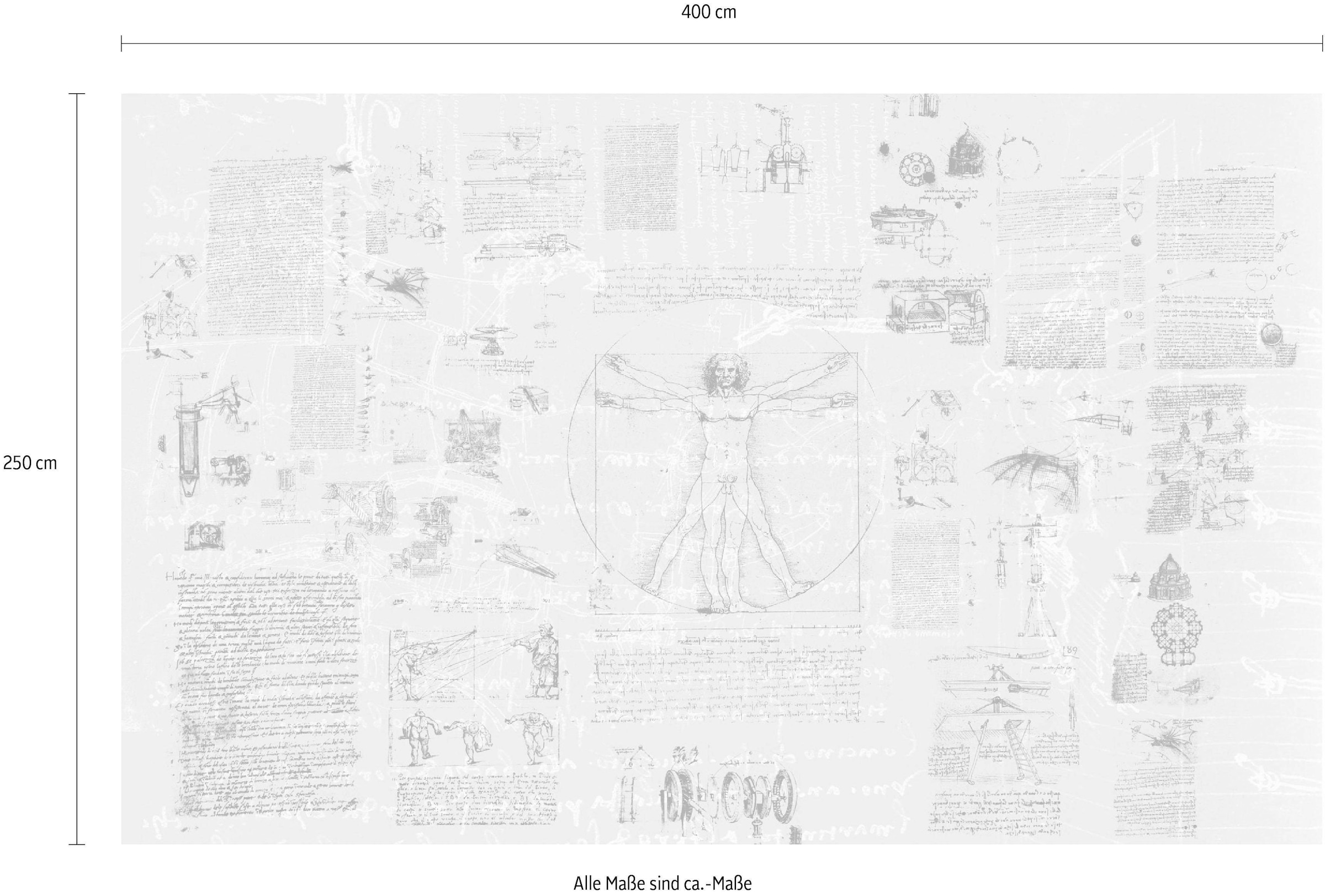 Komar Vliestapete »Digitaldruck Vlies -  Da Vinci - Größe 400 x 250 cm« bedruckt glatt Wohnzimmer, Schlafzimmer