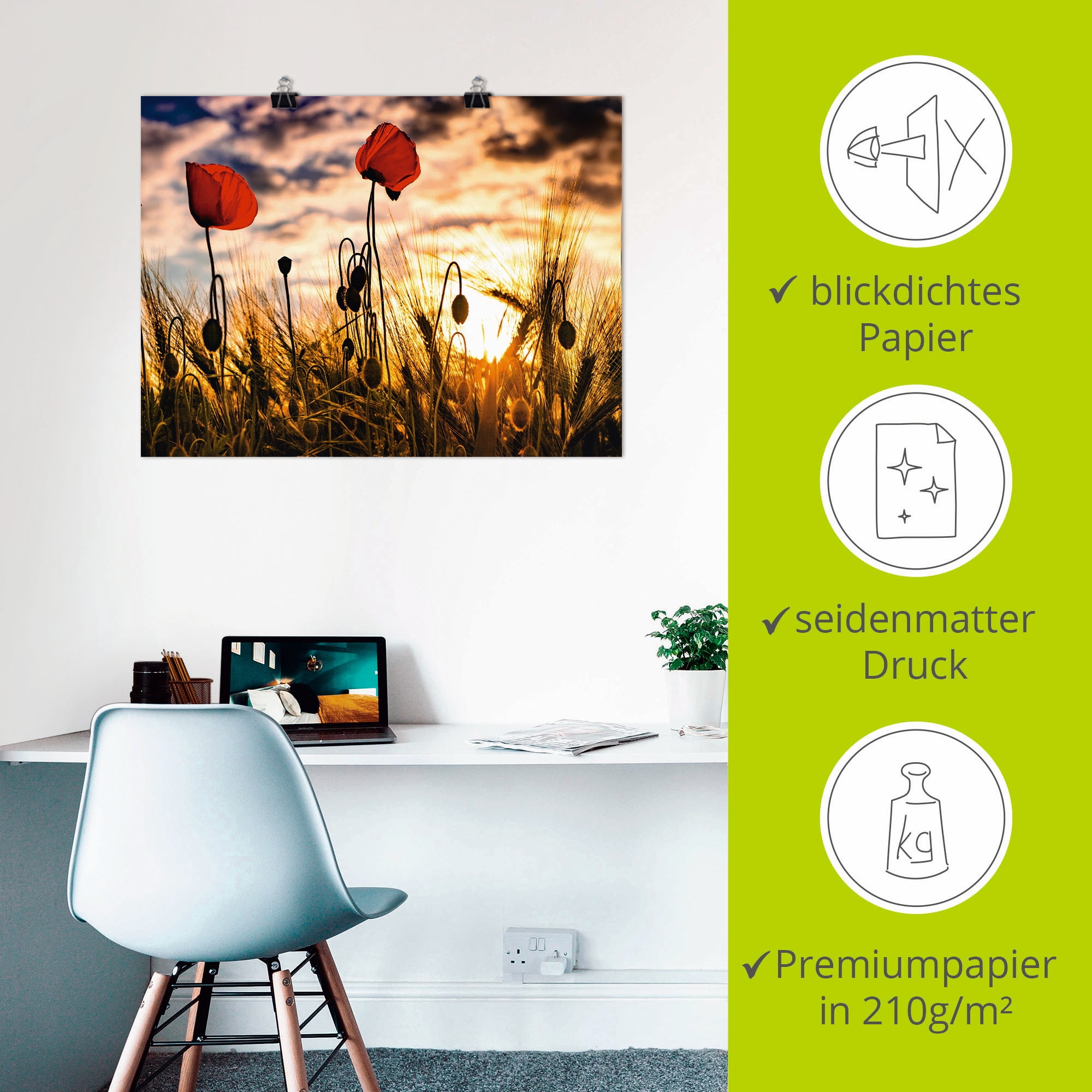 Artland Wandbild »Mohnblumen im Sonnenuntergang«, Blumen, (1 St.), als Alubild, Outdoorbild, Leinwandbild, Poster, Wandaufkleber