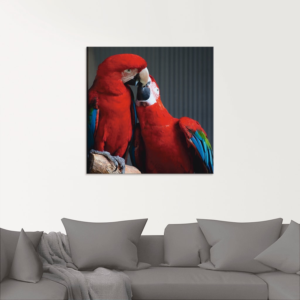 Artland Glasbild »Papageien«, Vögel, (1 St.)
