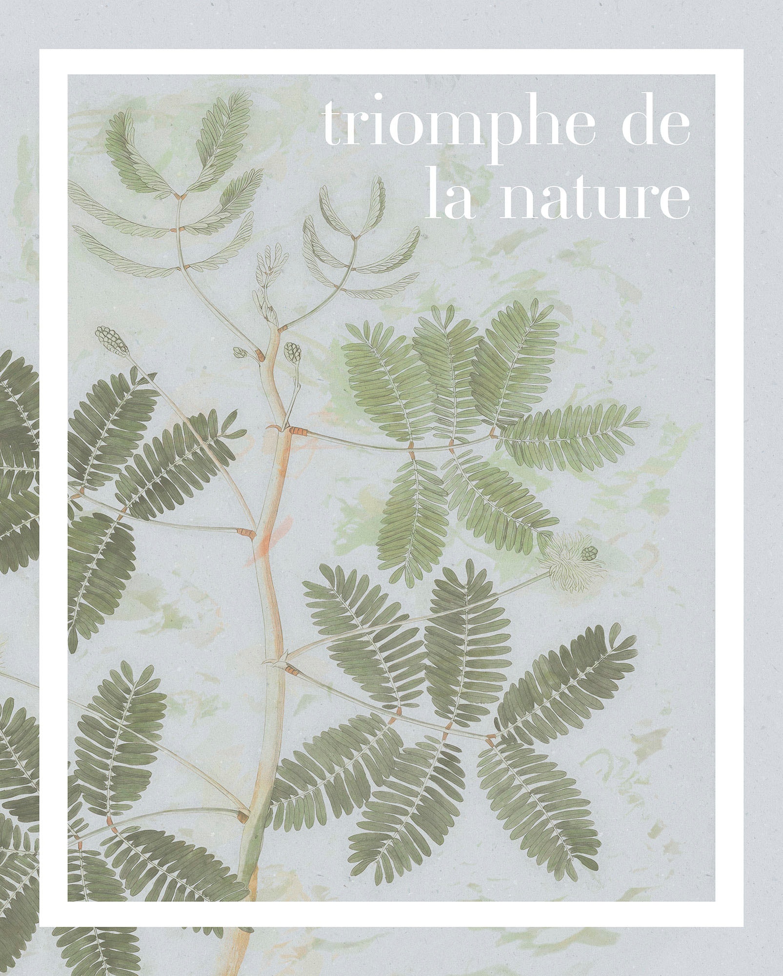 Komar "PLANT ART Triomphe de la nature" Natur 1 tlg. Wandbild zur Dekoratio günstig online kaufen