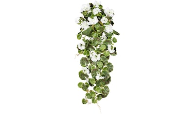 Creativ green Kunstpflanze »Geranienhänger«, (1 St.) kaufen