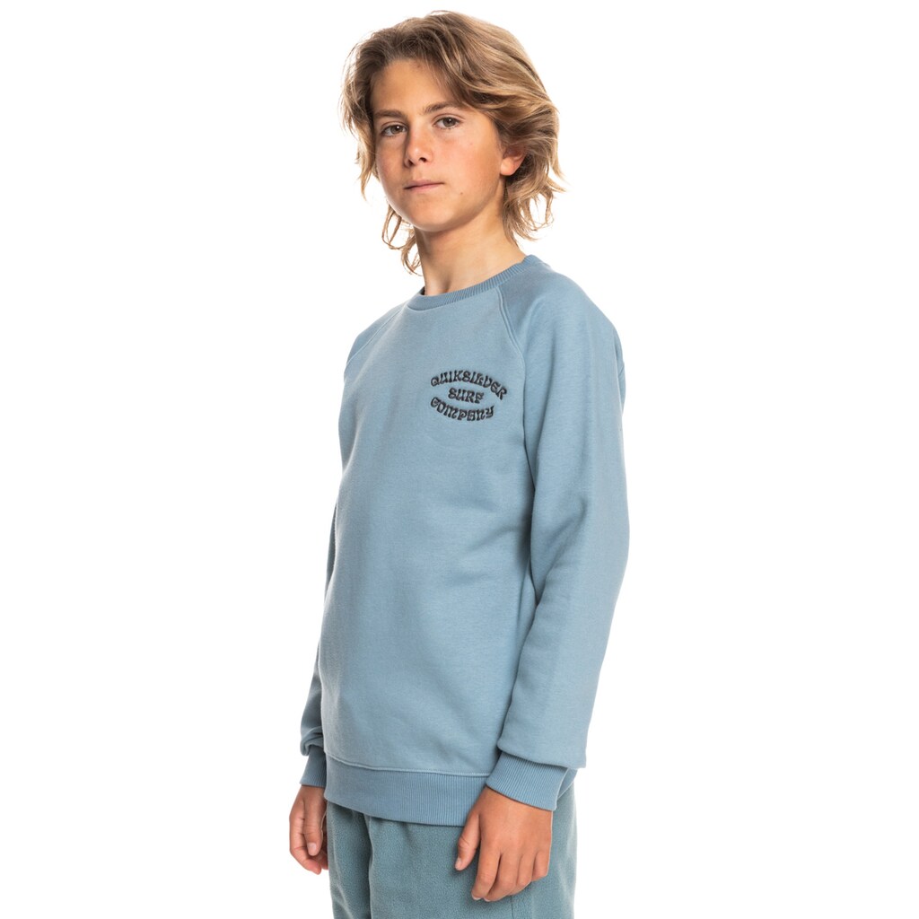 Quiksilver Sweatshirt »Wild Cars«