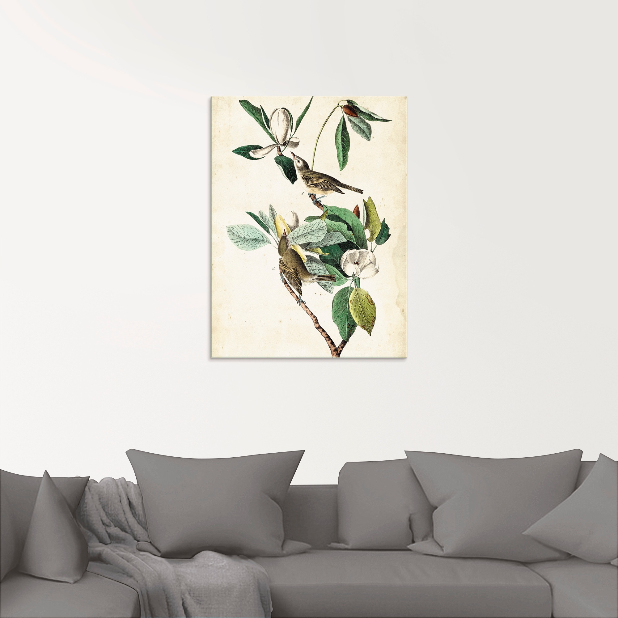 Artland Glasbild »Sängervireo«, Vögel, (1 St.), in verschiedenen Größen
