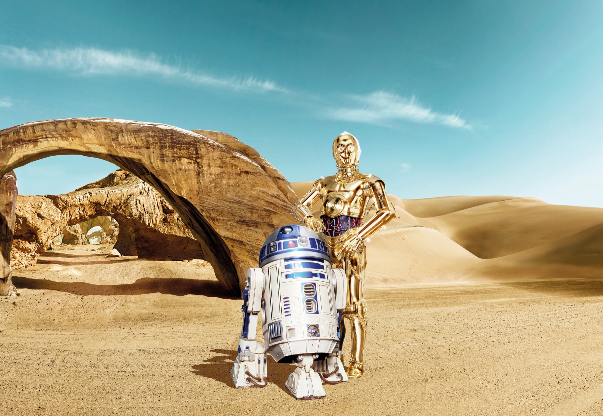 Komar Fototapetas »Star Wars Lost Droids« 36...