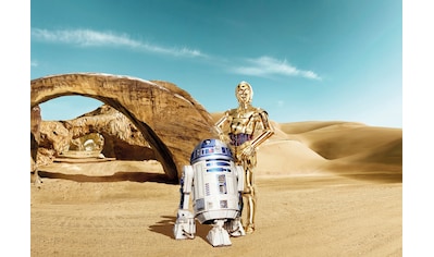 Fototapete »Star Wars Lost Droids«