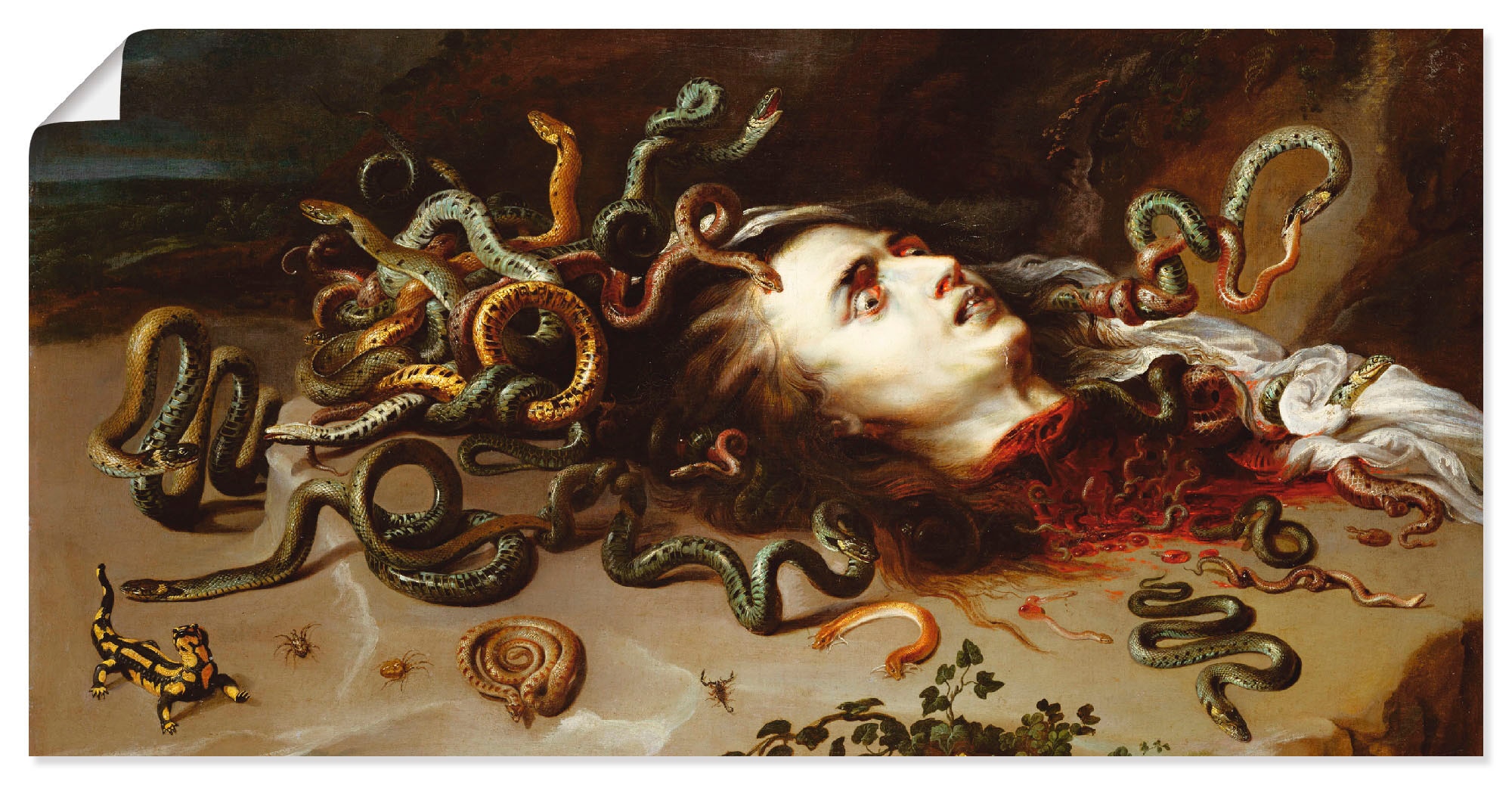Artland Wandbild "Das Haupt der Medusa" klassische Fantasie 1 Stk. tlg. als günstig online kaufen