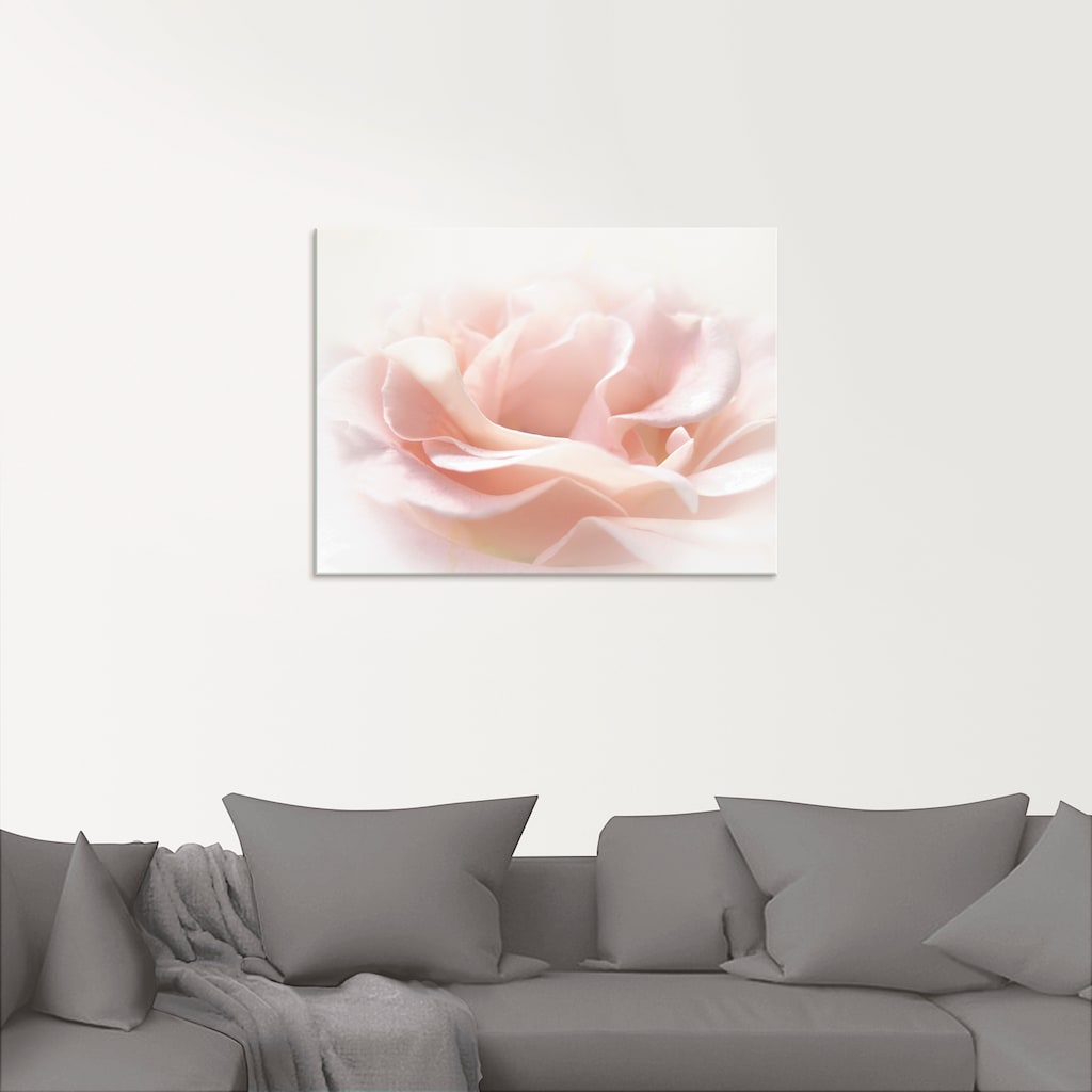 Artland Glasbild »Rose I«, Blumen, (1 St.)