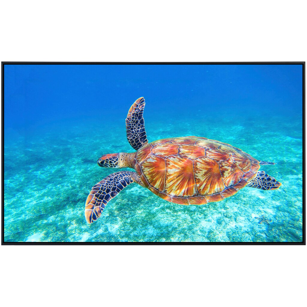 Papermoon Infrarotheizung »Große grüne Meeresschildkröte«