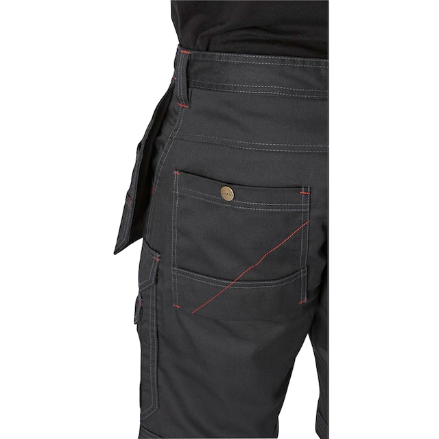 Dickies Arbeitsshorts »Redhawk-Pro« | BAUR