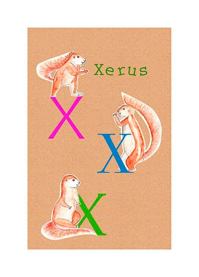 Komar Poster »ABC Animal X« Buchstaben (1 St...