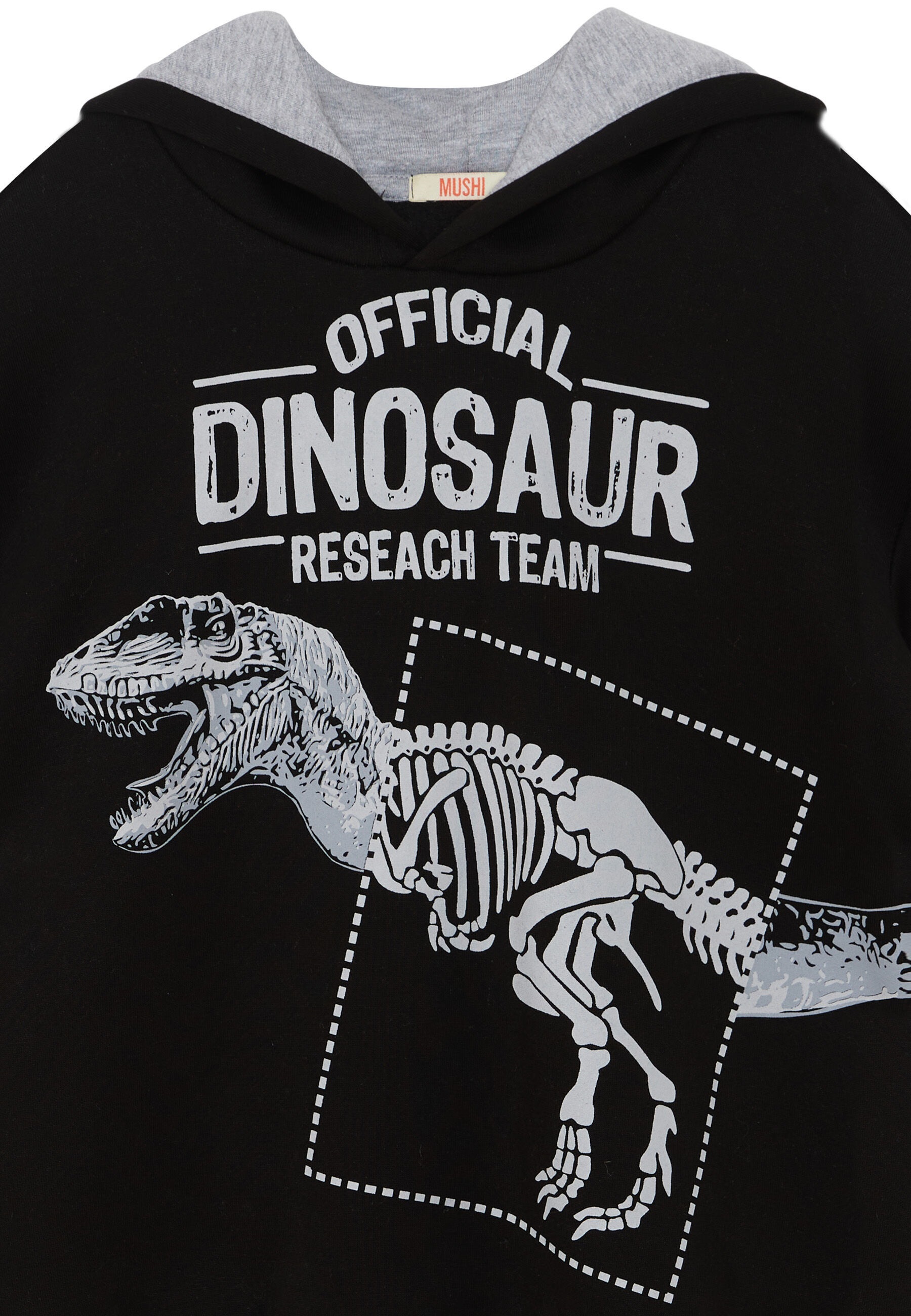 Denokids Kapuzenpullover »Dino Research«, mit Dinosaurier-Motiv