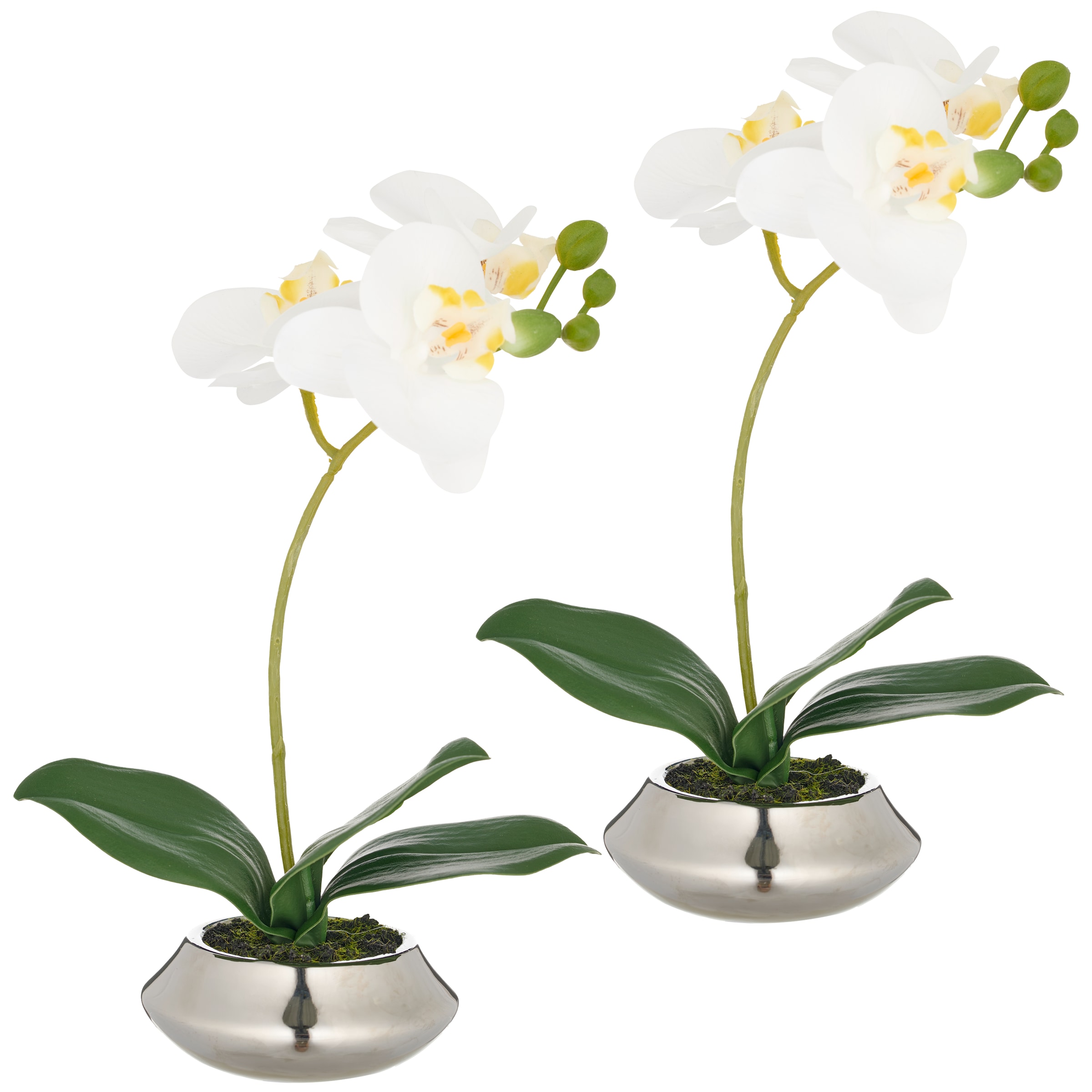 Creativ green Kunstorchidee "Orchidee Phalaenopsis", mit dauerhafter Blüten günstig online kaufen