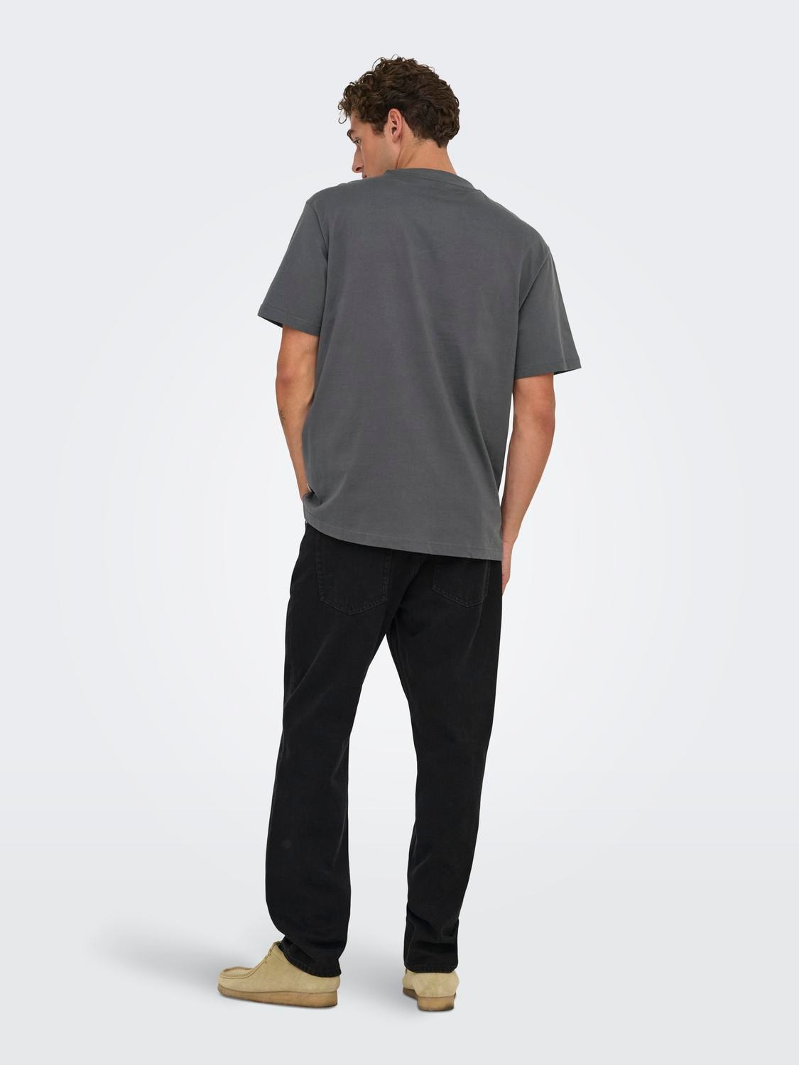 ONLY & SONS Rundhalsshirt »ONSFRED RLX SS TEE«