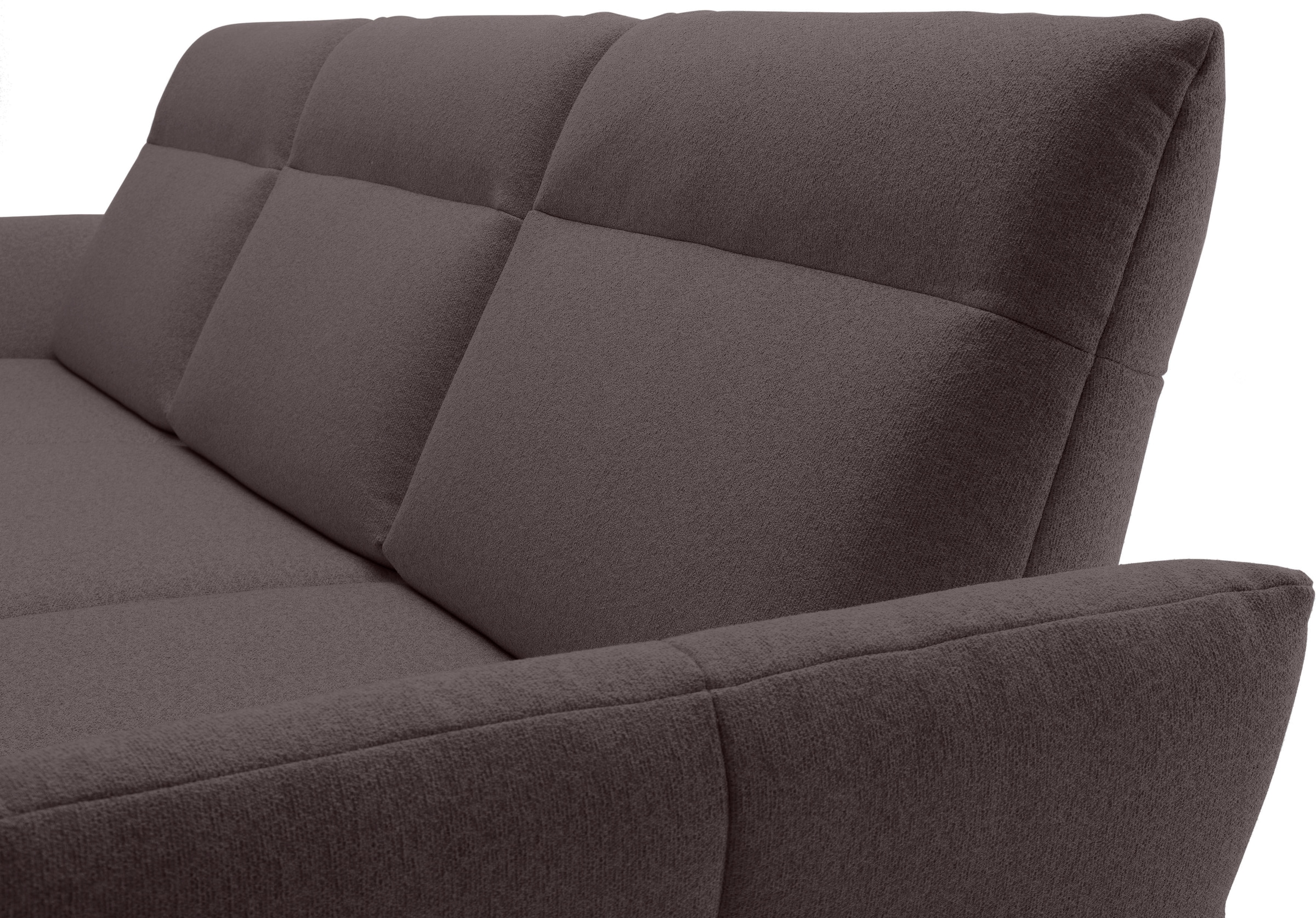 Creation BY ROLF BENZ Ecksofa »CR.460«, Sockel in Eiche, Winkelfüße in Umbragrau, Breite 318 cm